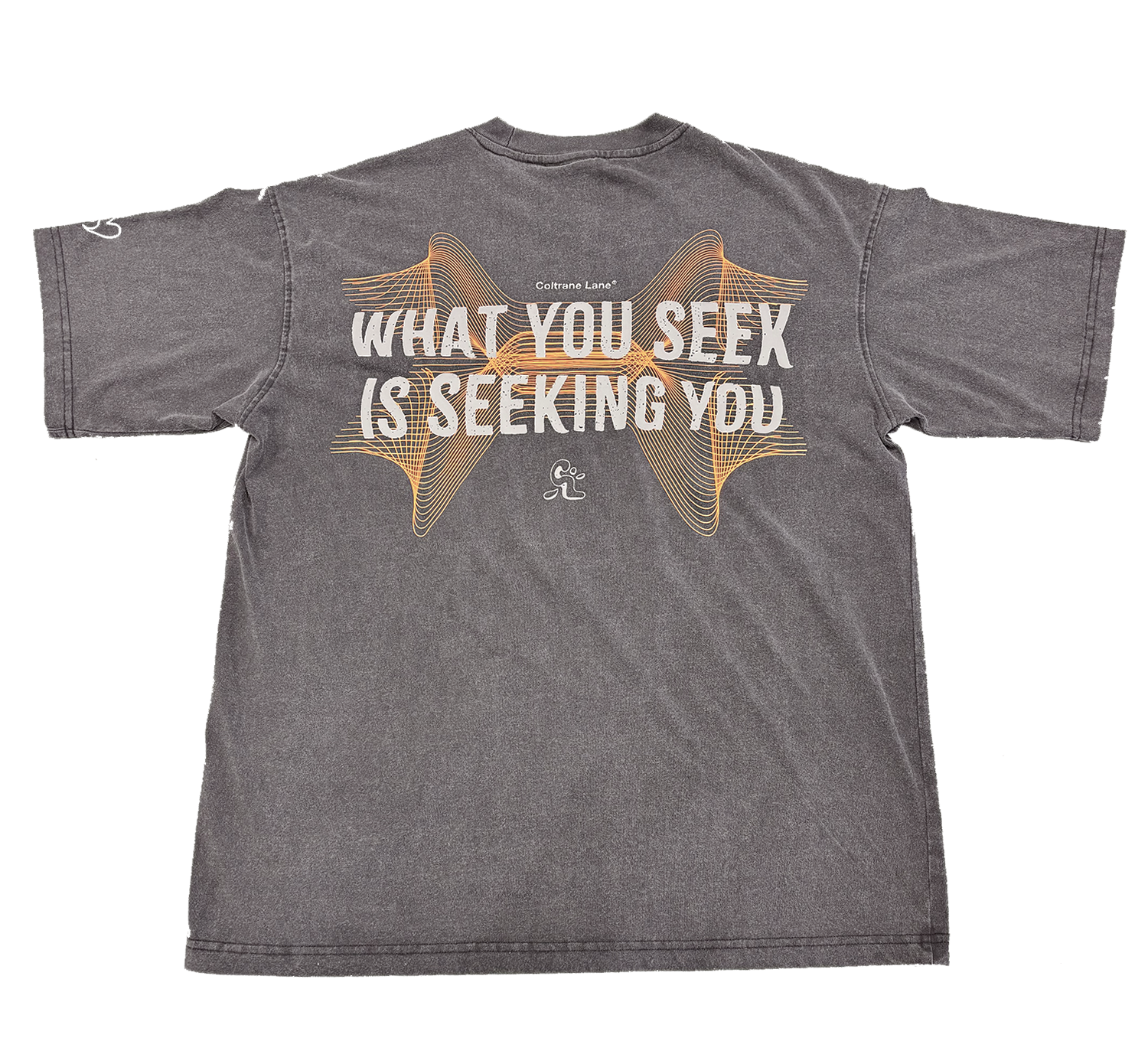 Back of Shirt.png
