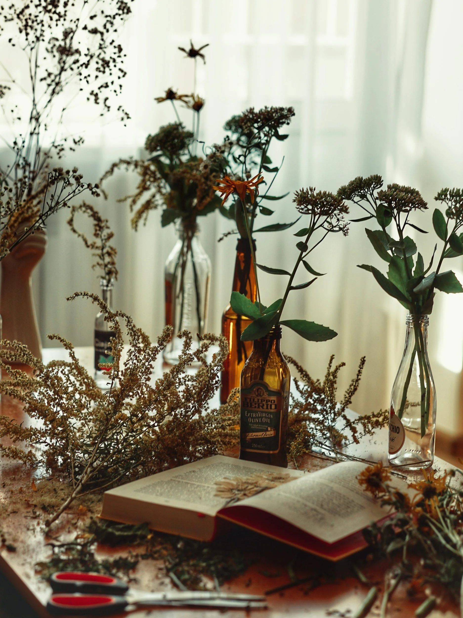 Still life scene with dry flowers, an open book, scissors, and bottles of olive oil on a table in front of a window with sheer curtains.