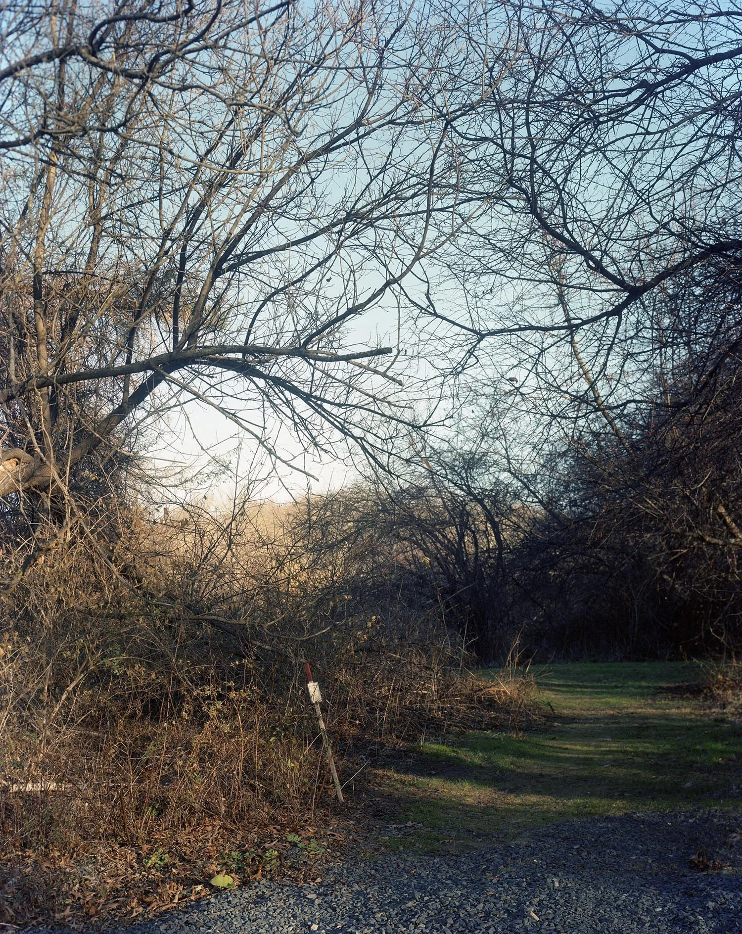 to be whole again 11.jpg