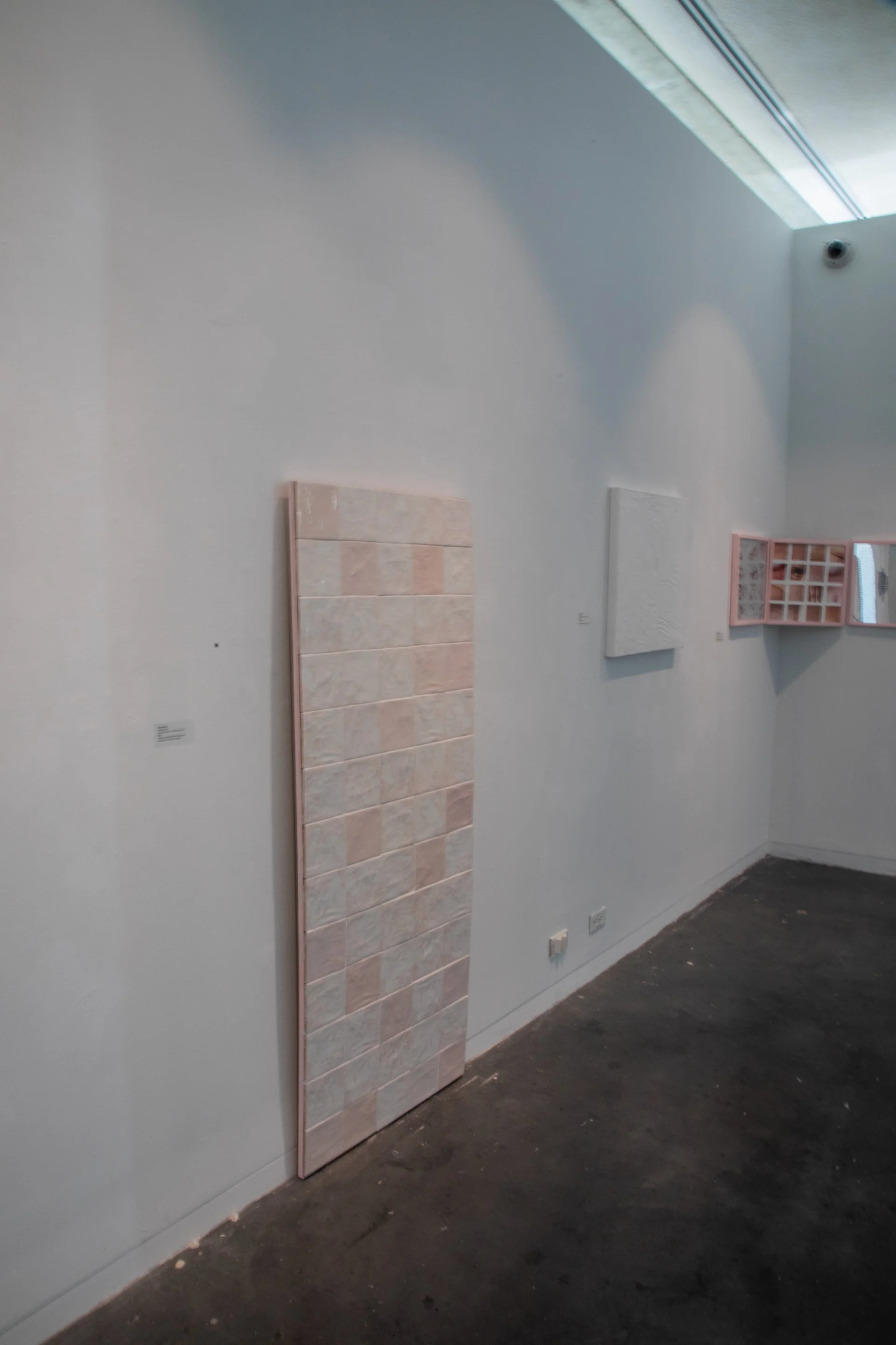Installation Shot of Tile Wall Installed at Artist's Height - Tiles are Laser Engraved with Skin Cells Scanned