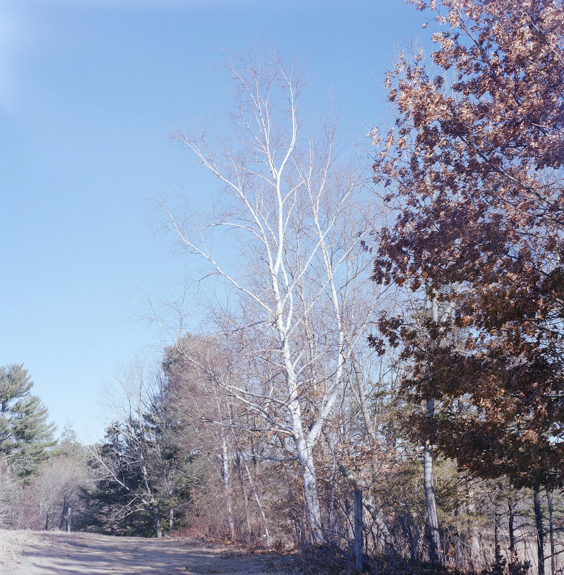 to be whole again 16.jpg