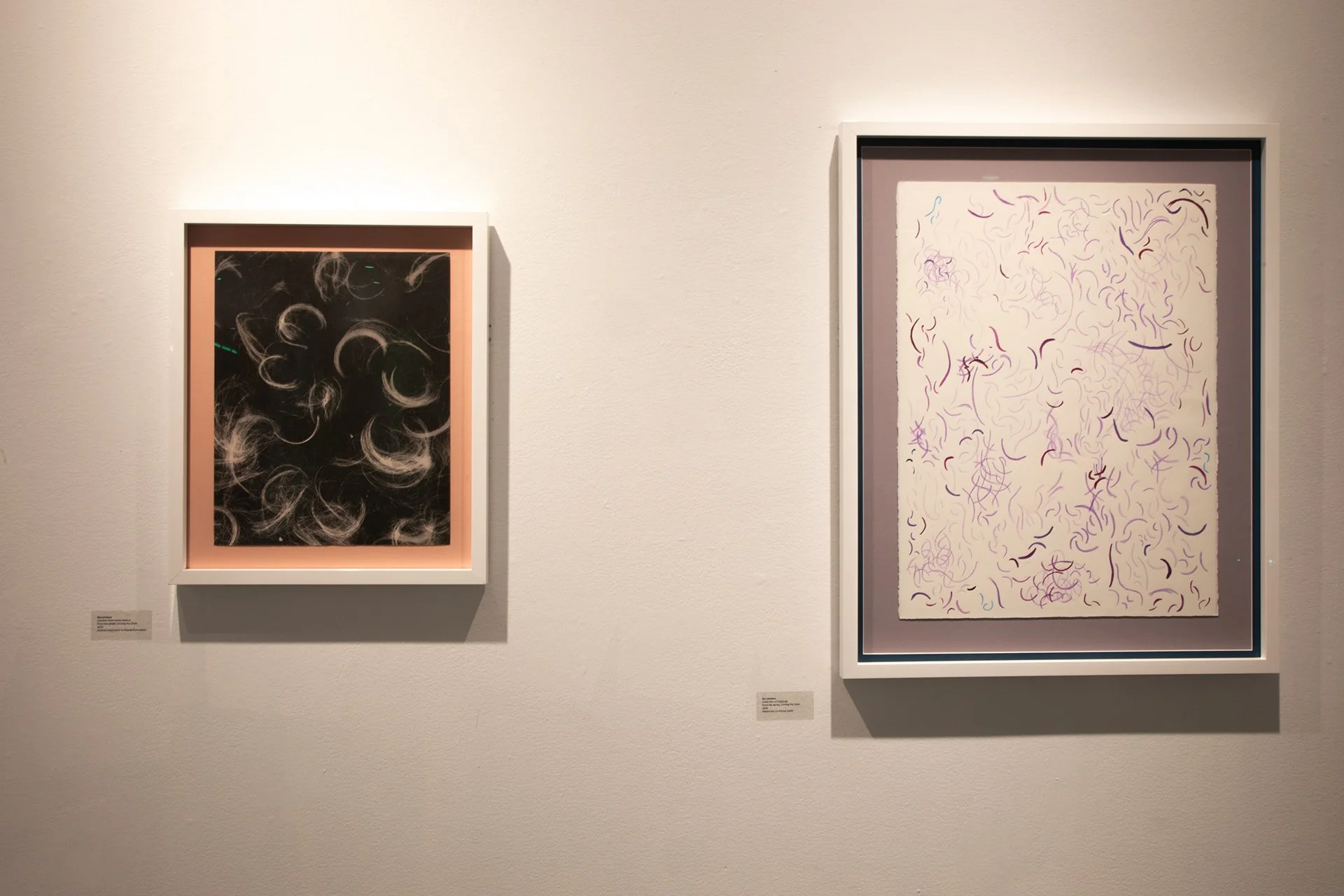 Installation Shot of Hair Photogram in Frame with Pink Mat and Watercolor Piece Based on the Hair Photogram in Frame with Purple Mat