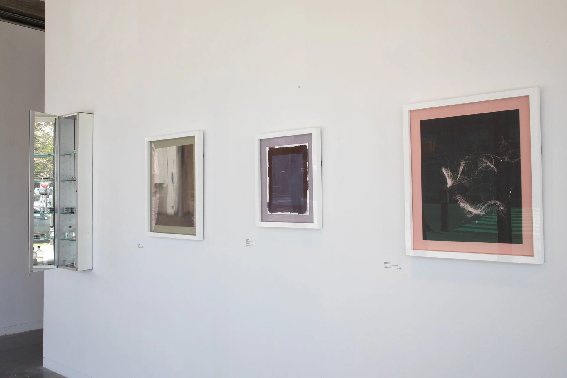 Installation shot from the Massachusetts Avenue facing wall in Gallery of 2 Hiromi Paper Prints - One with Green Mat and One with Pink Mat - In between the two is the Salt Print in Smaller Frame with Purple Mat