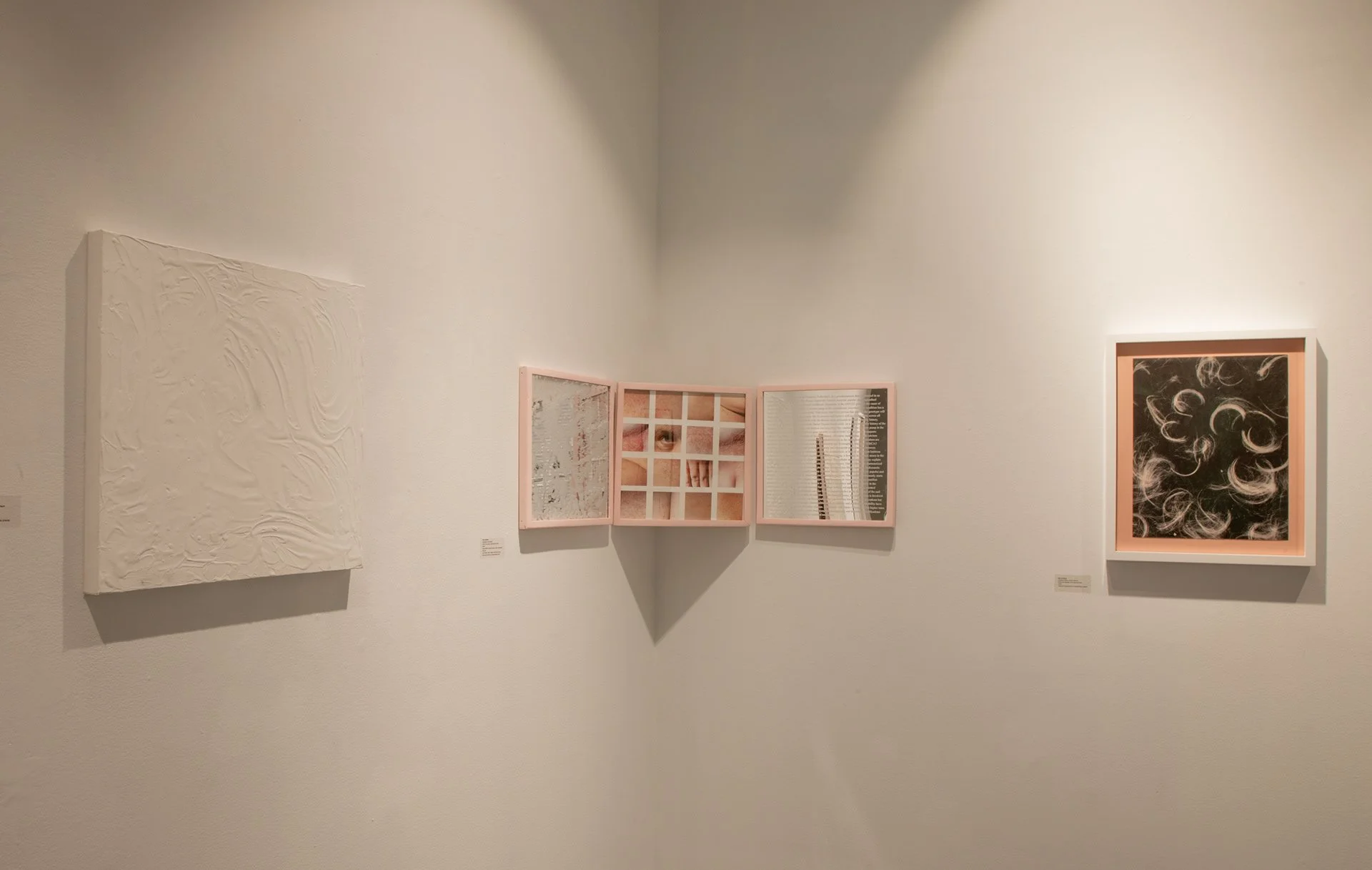 Installation Shot of Sensory Piece, Vanity Mirror Piece and Hair Photogram Piece