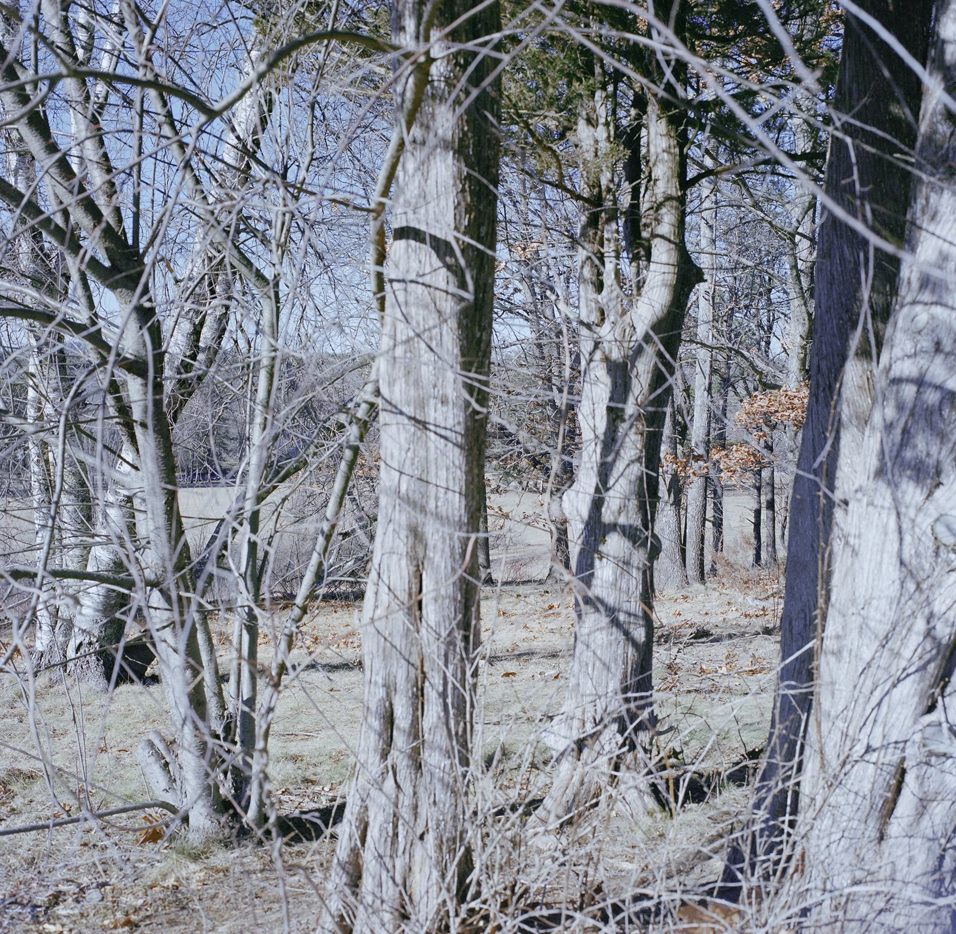 to be whole again 9.jpg