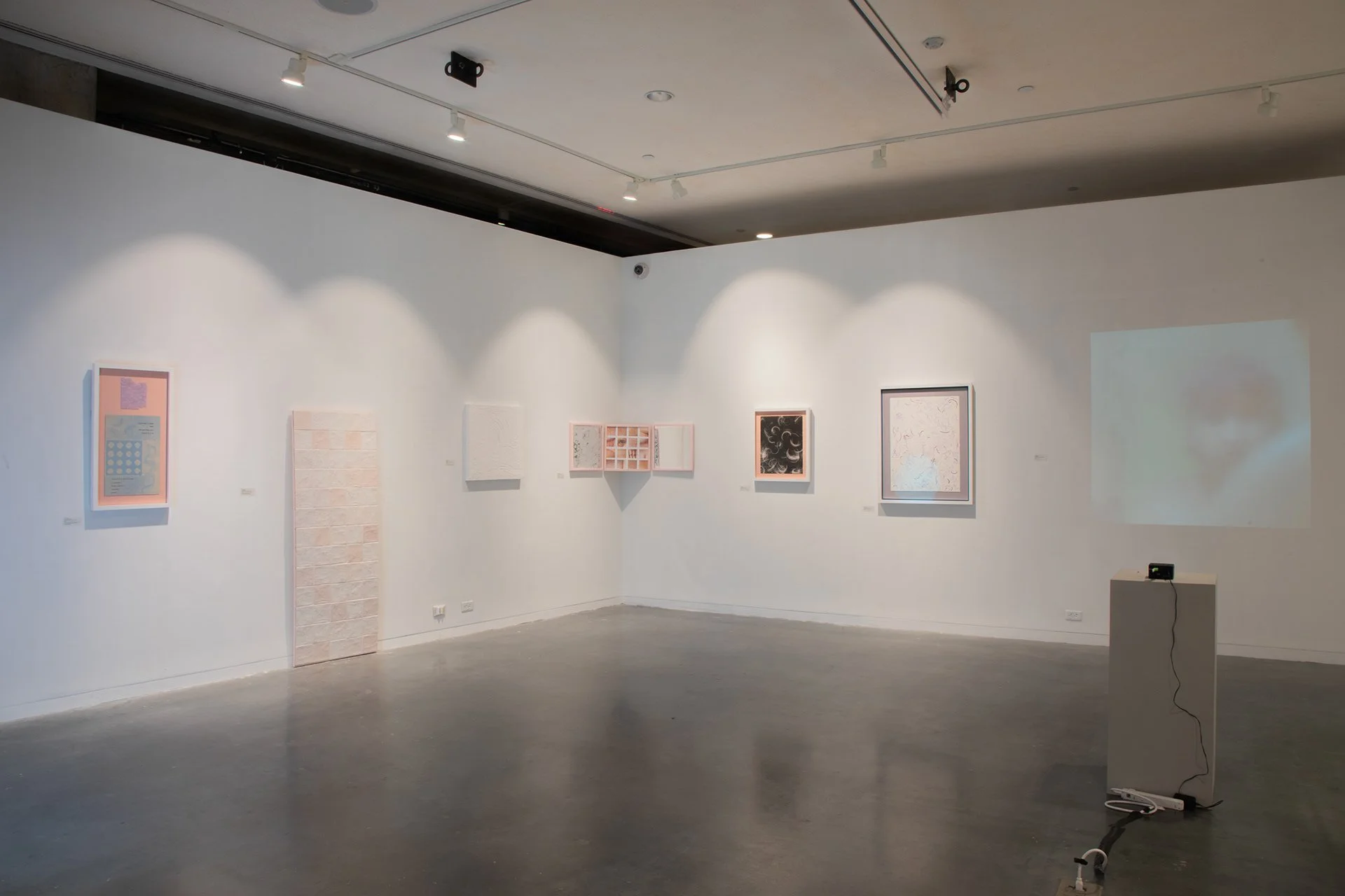 Installation Shot of Section of Roberts Gallery