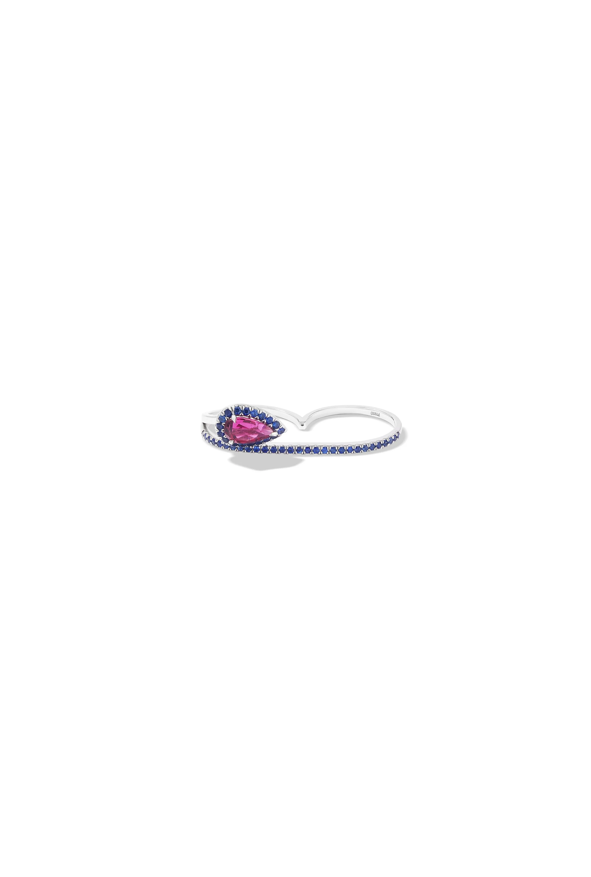 Double_ring_036.JPG