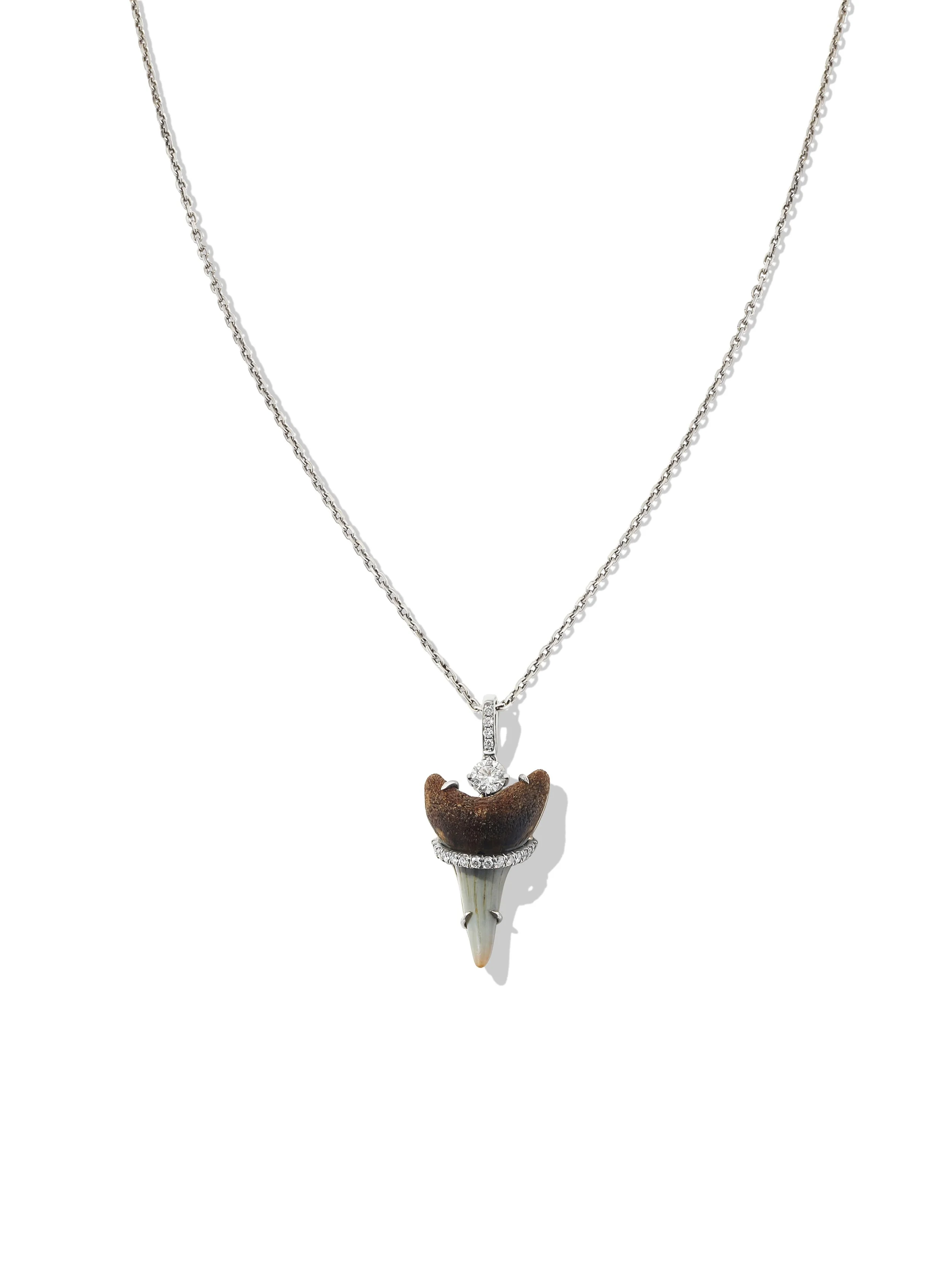 Megalodon Tooth Necklace