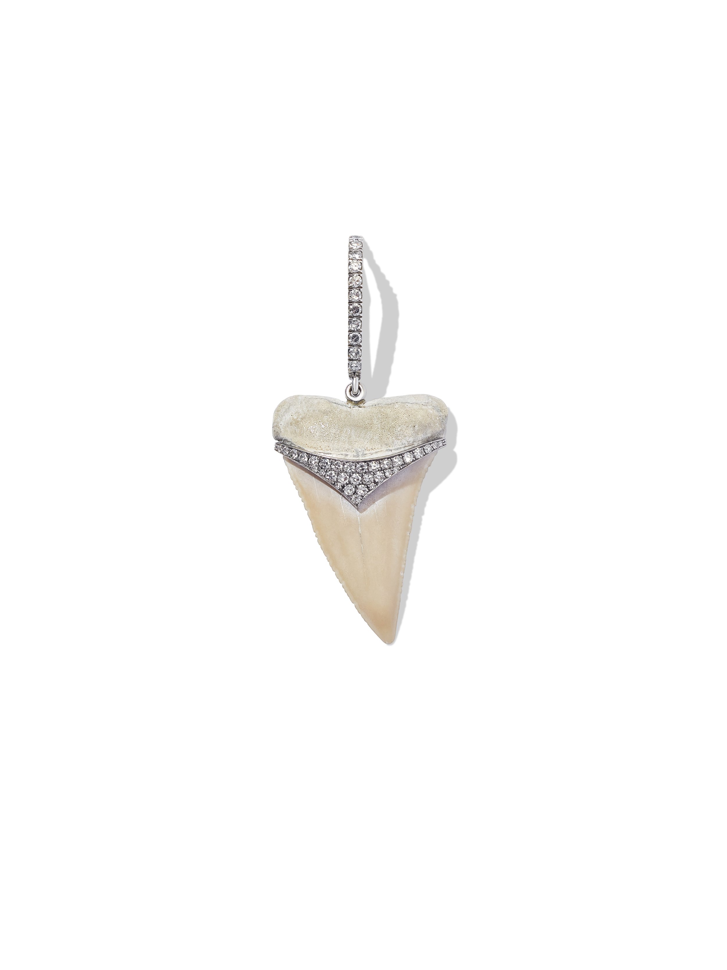 White Medium Sharks Tooth