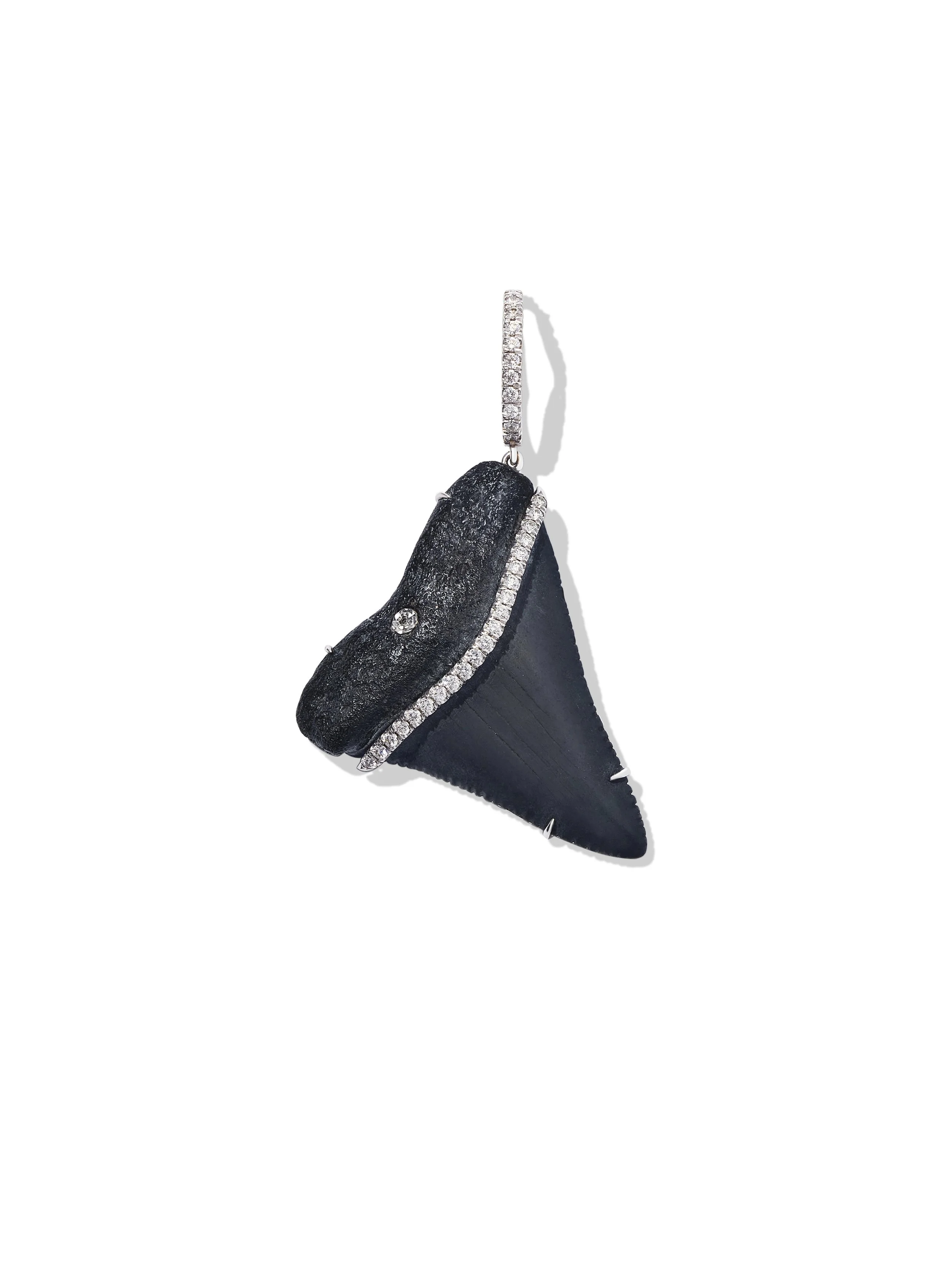 Black Sharks Tooth