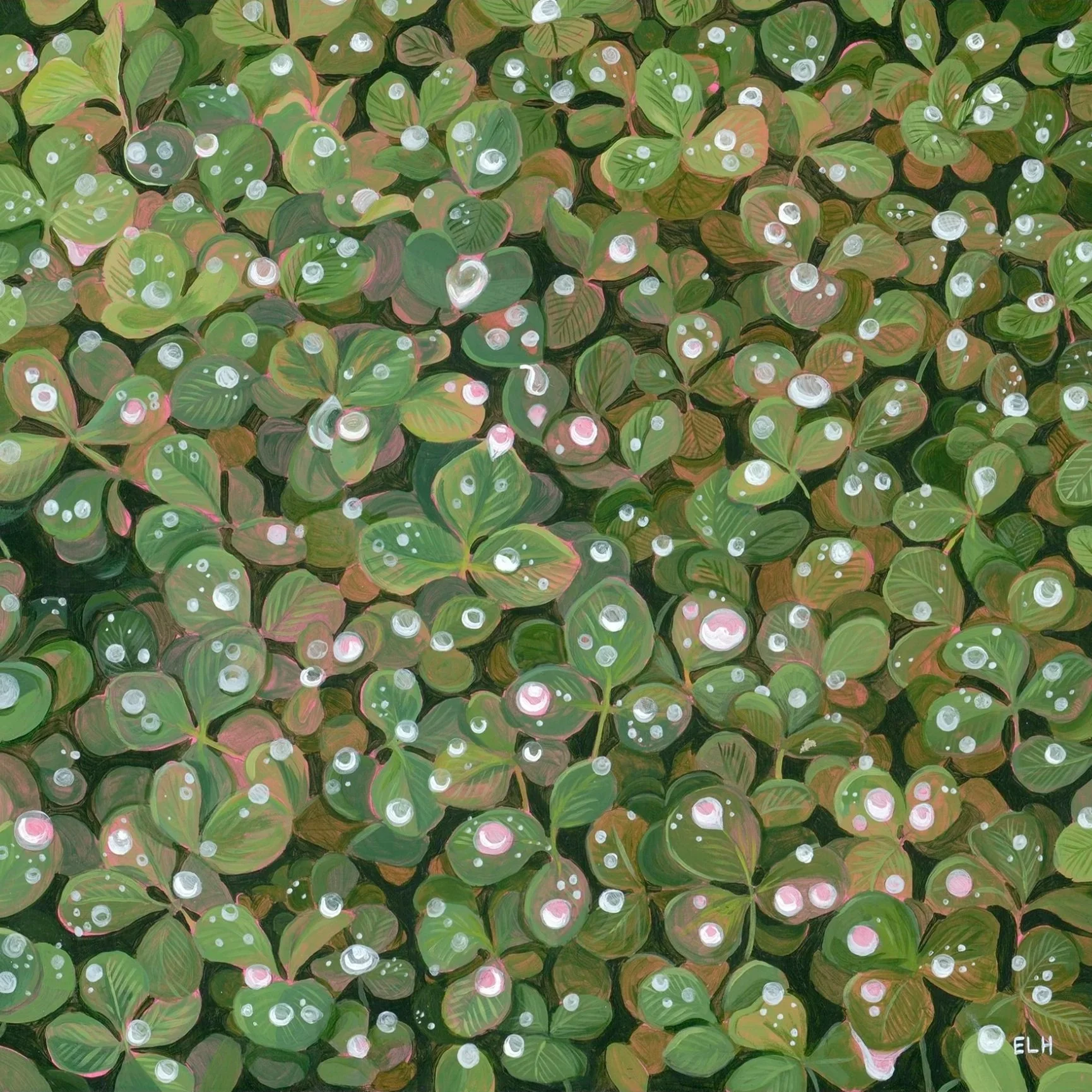Dewdrops_rtp.jpg