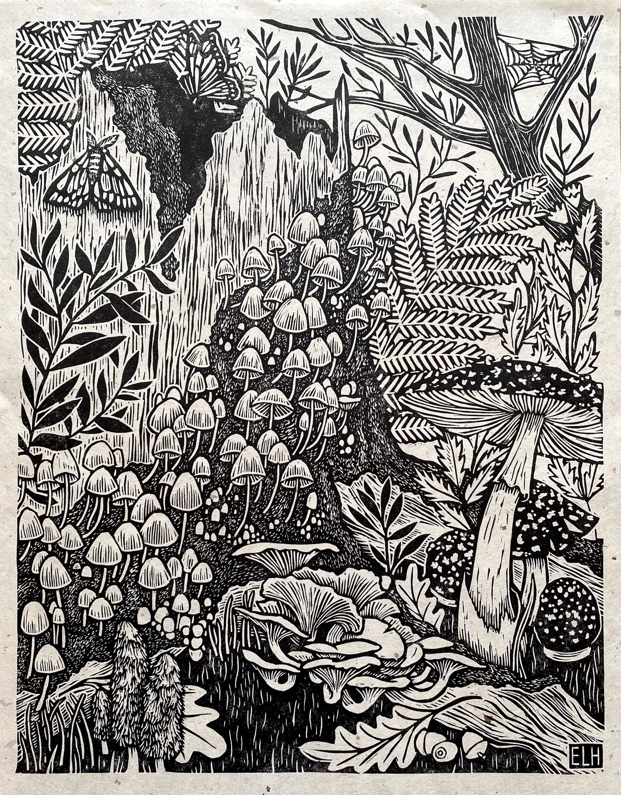 Old Stump.jpg