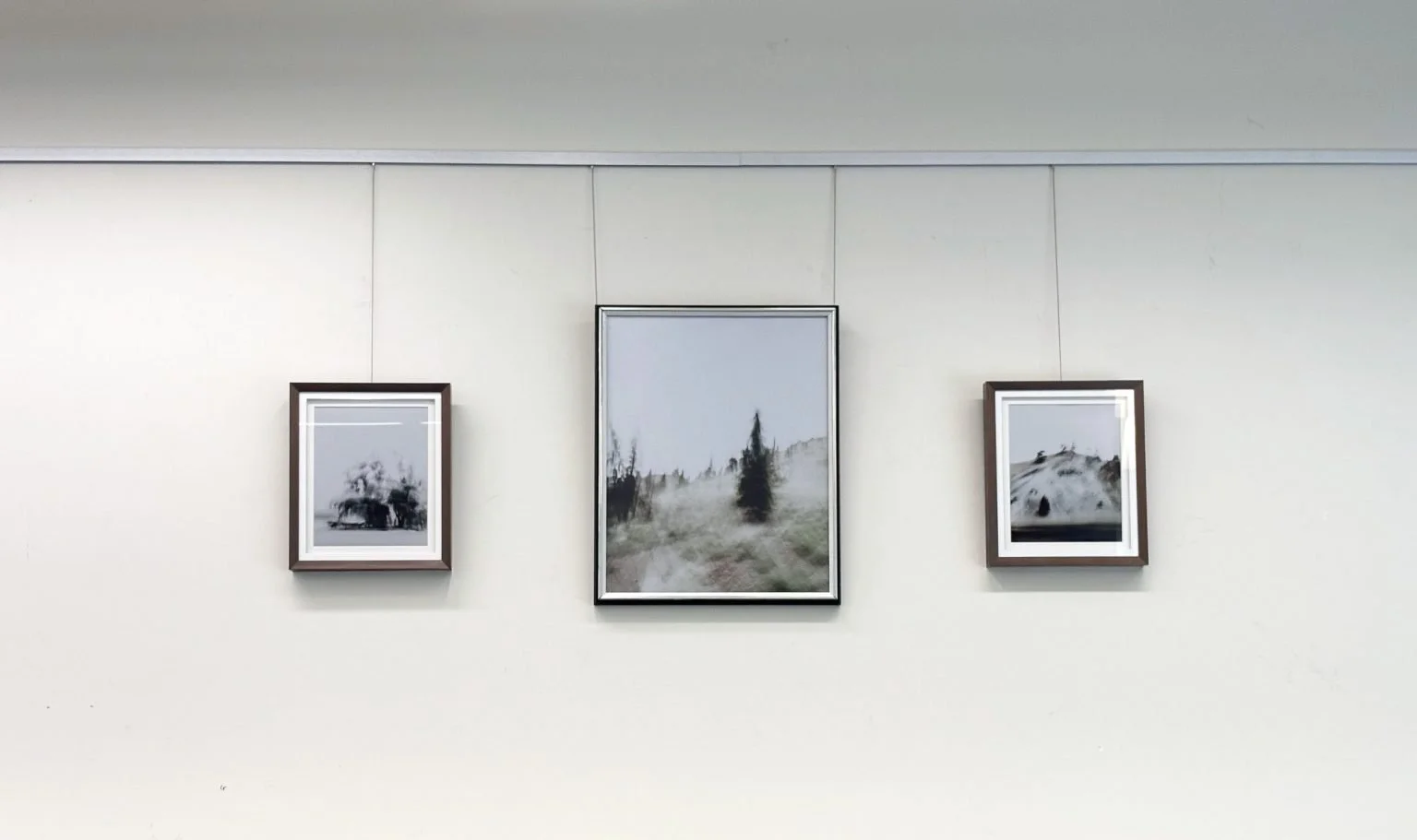 Three framed black and white photographs hanging on a plain white wall, with the middle picture being larger and landscape-oriented.
