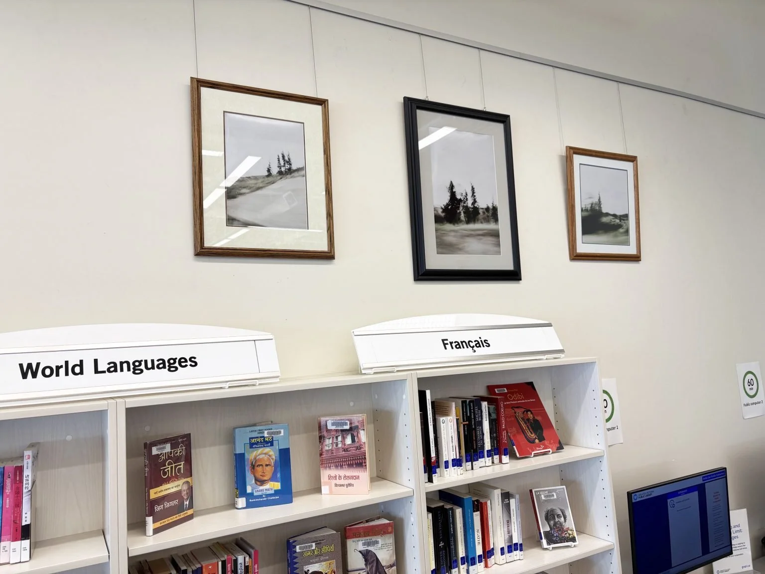 Bookshelves labeled 'World Languages' and 'Français' with books, framed black and white landscape photos on the wall.
