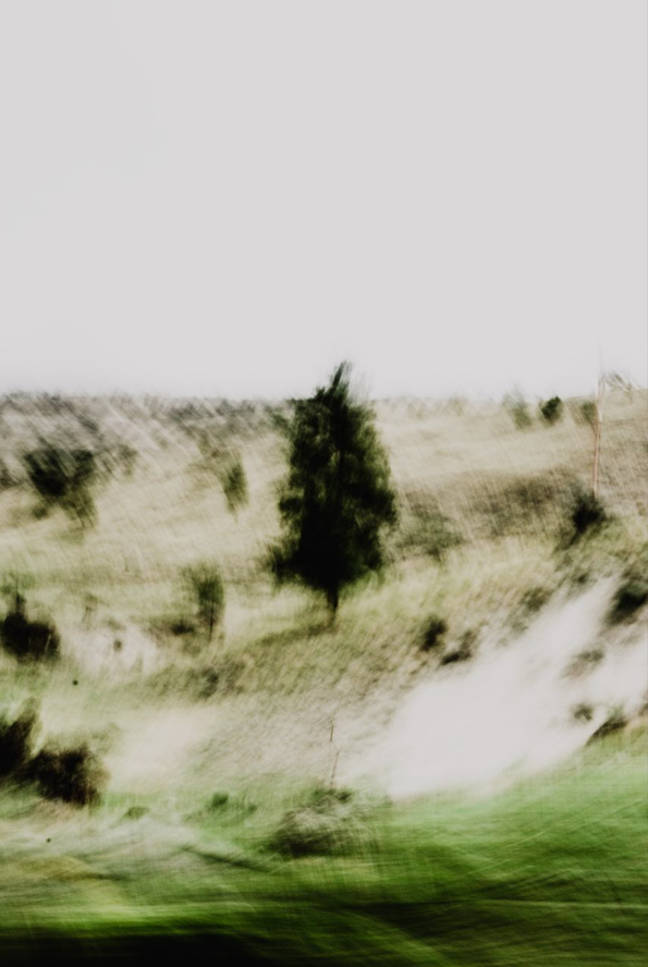 Blurry image of a rural landscape with trees and grassy hills under a gray sky.