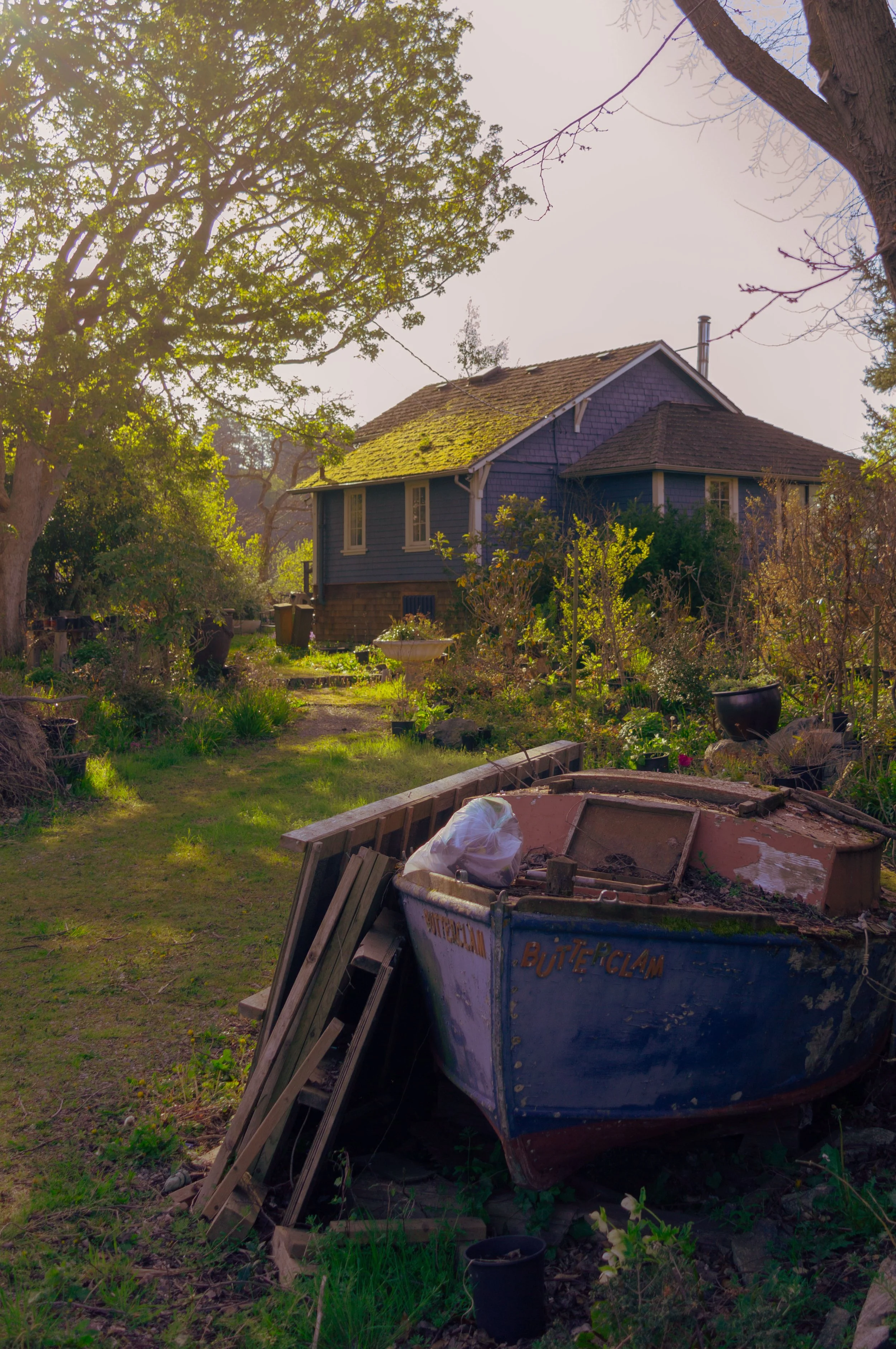 A boat with the words 'Butterclam' on the side is sinking into a garden.