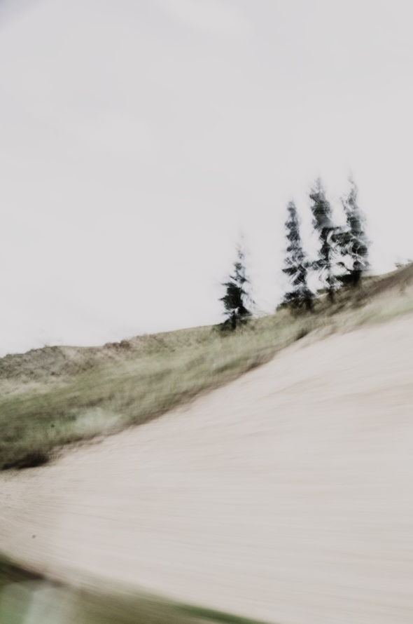 Blurry landscape with trees on a hillside, overexposed sky, and a motion effect in the foreground.