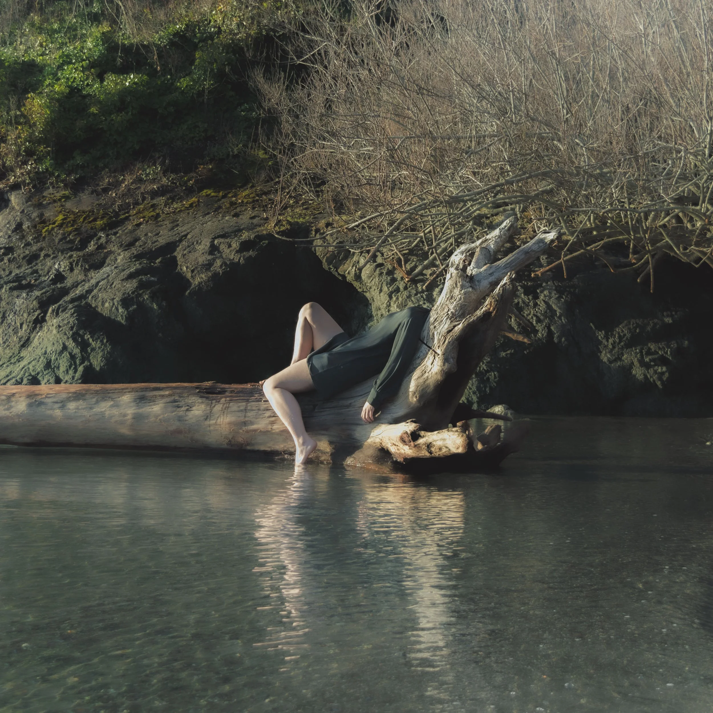 Person sitting on a large driftwood log by sea, with natural landscape of rocks, moss, cracked earth, bushes, and leafless trees in the background.