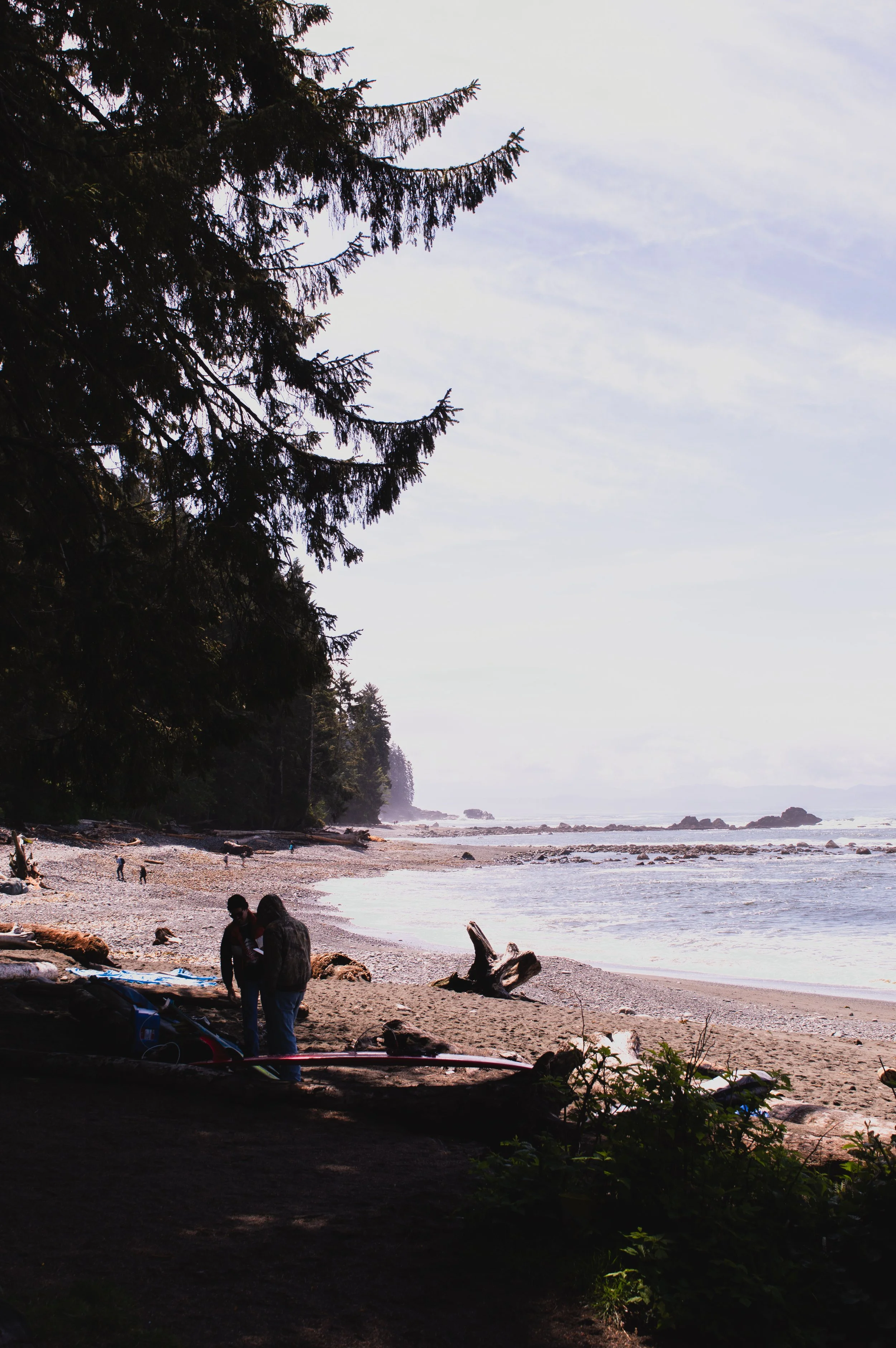 A beach scene with big trees on the left, a rocky shoreline, and several people near the water. The sky is partly cloudy.
