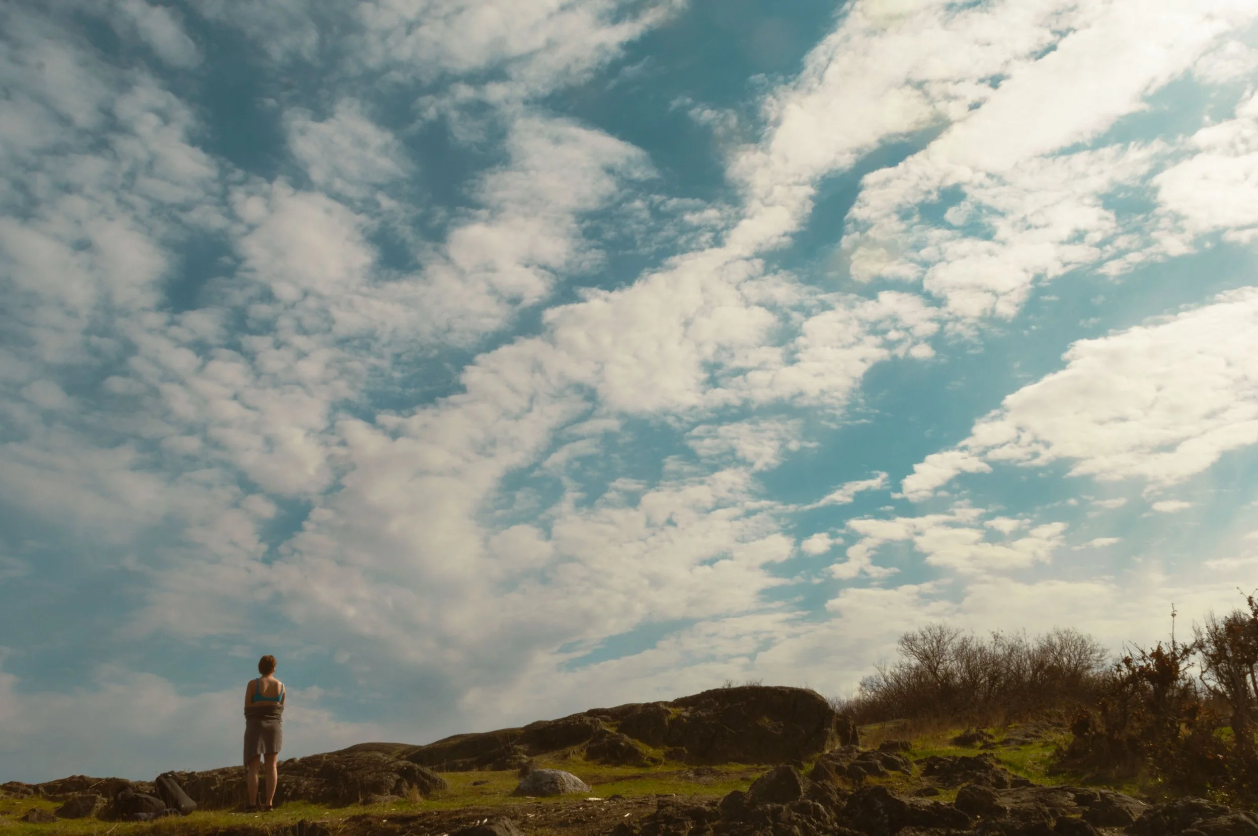 A woman holding a small dog walking outdoors on a grassy area with rocks and trees, under a sky with scattered clouds.