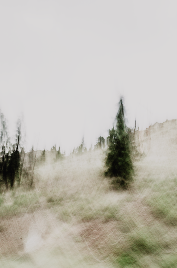 Blurred image of trees on a hillside under an overcast sky