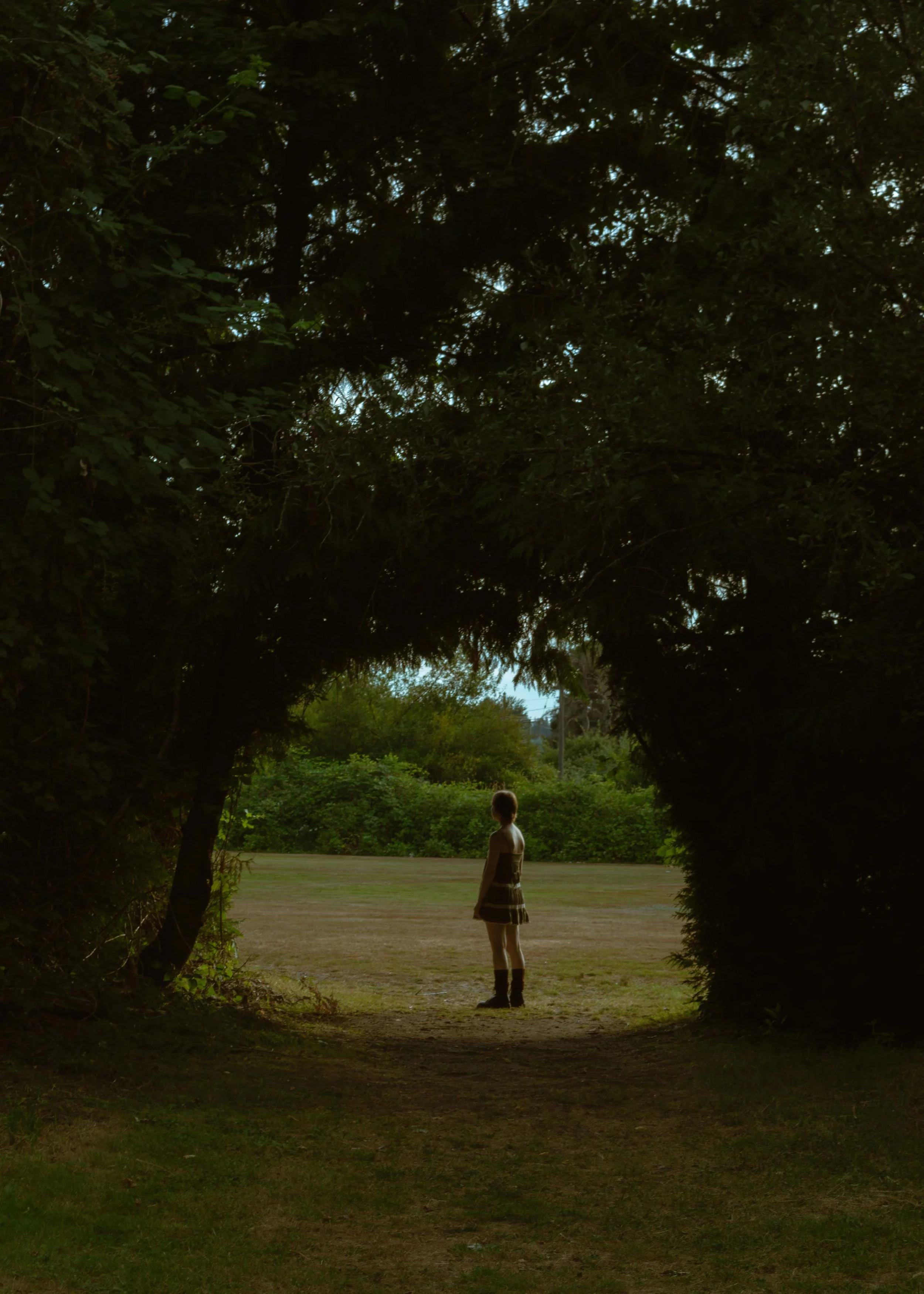 A young girl stands in a clearing, framed by a dark canopy of trees, looking toward a bright, open space with greenery and power lines visible in the distance.