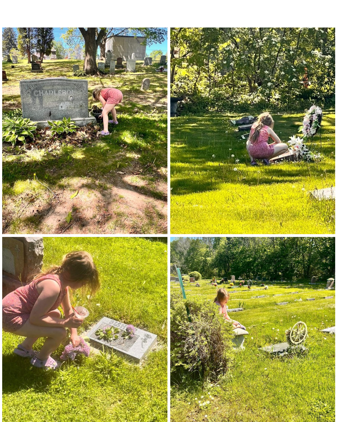Lilacs &amp; Ancestors