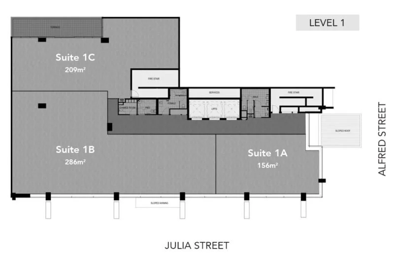 Level_1-2-800x519.jpg