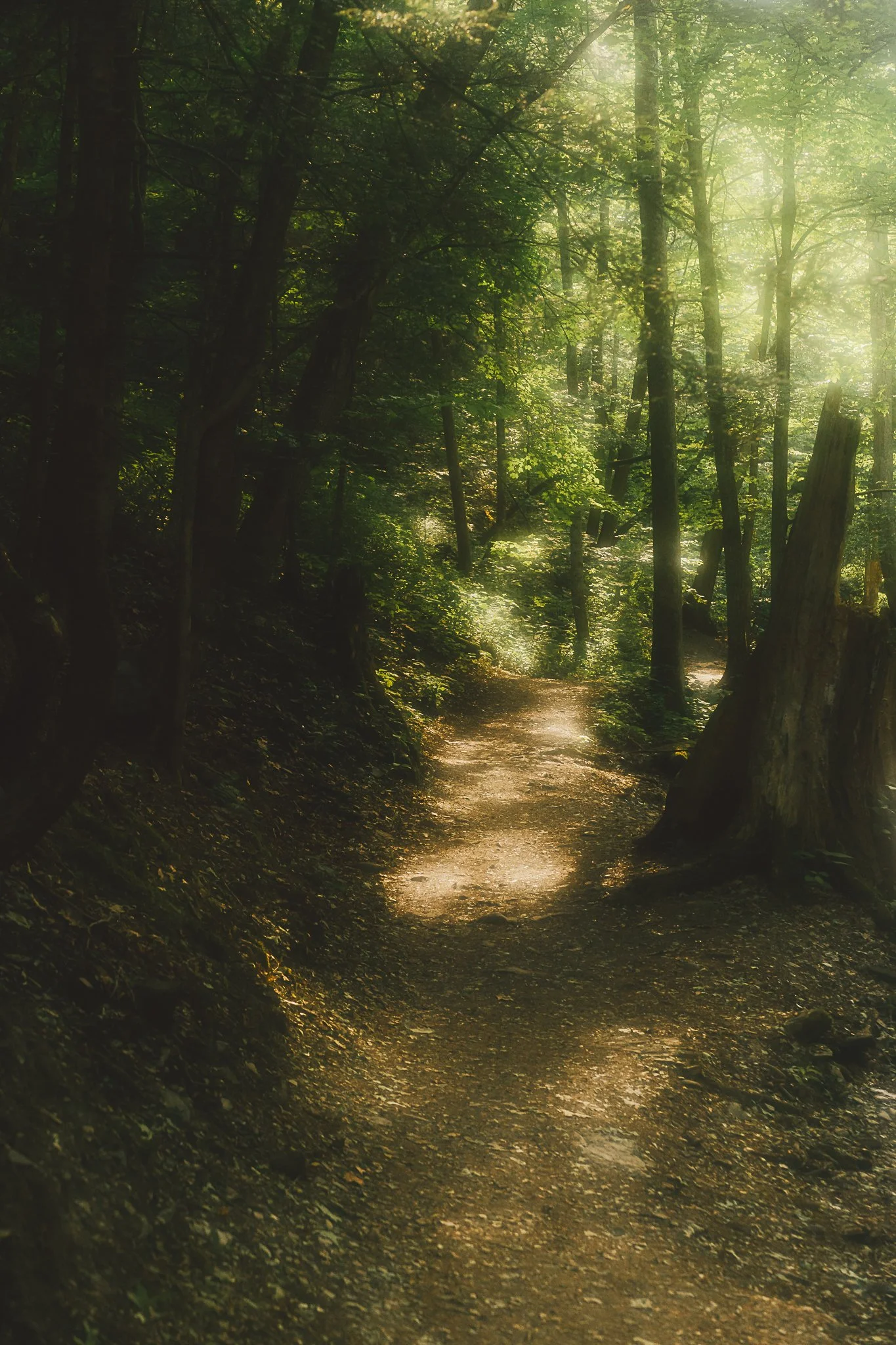 grimes glen 2021-17.jpg