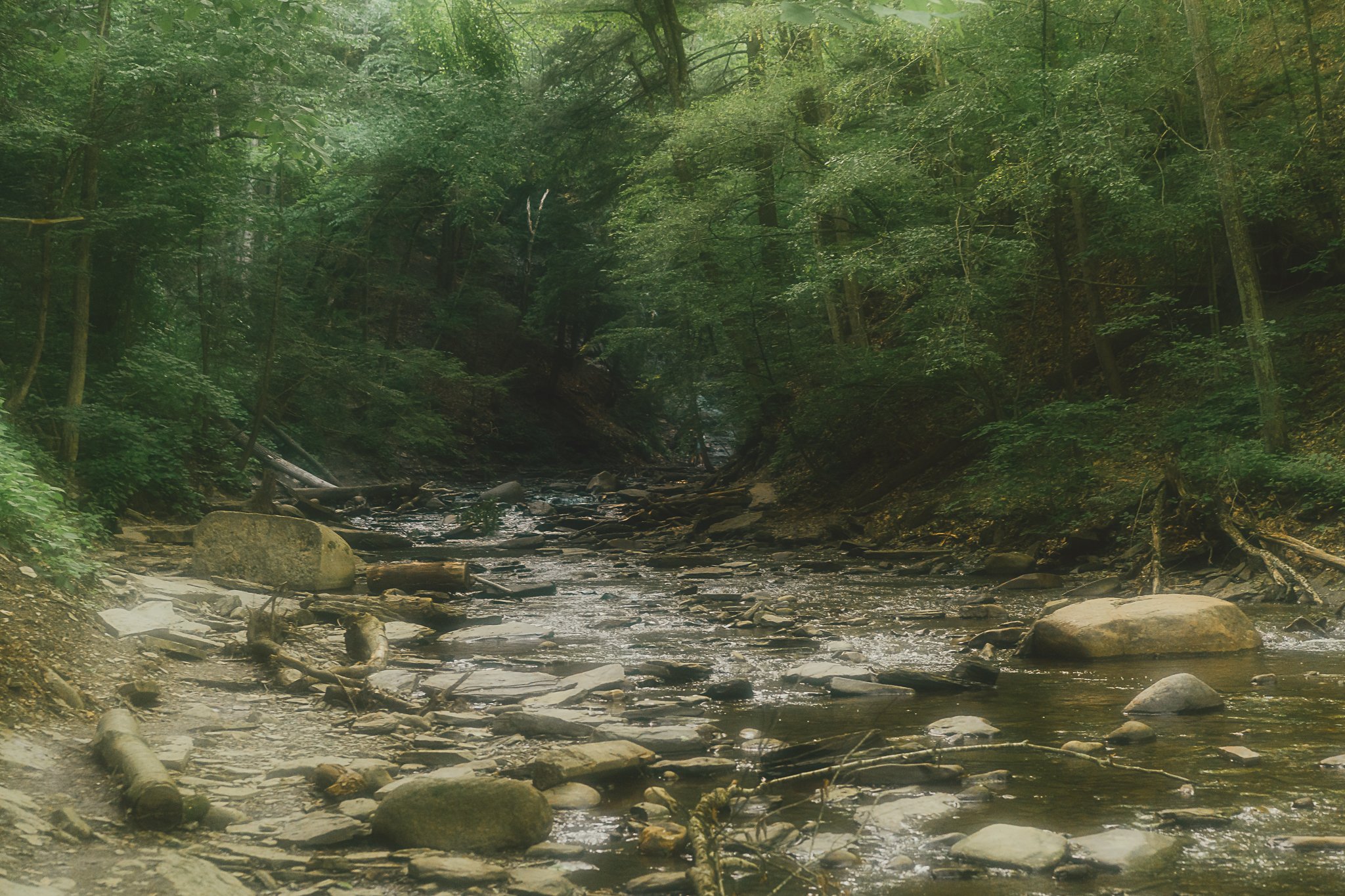 grimes glen 2021-19.jpg