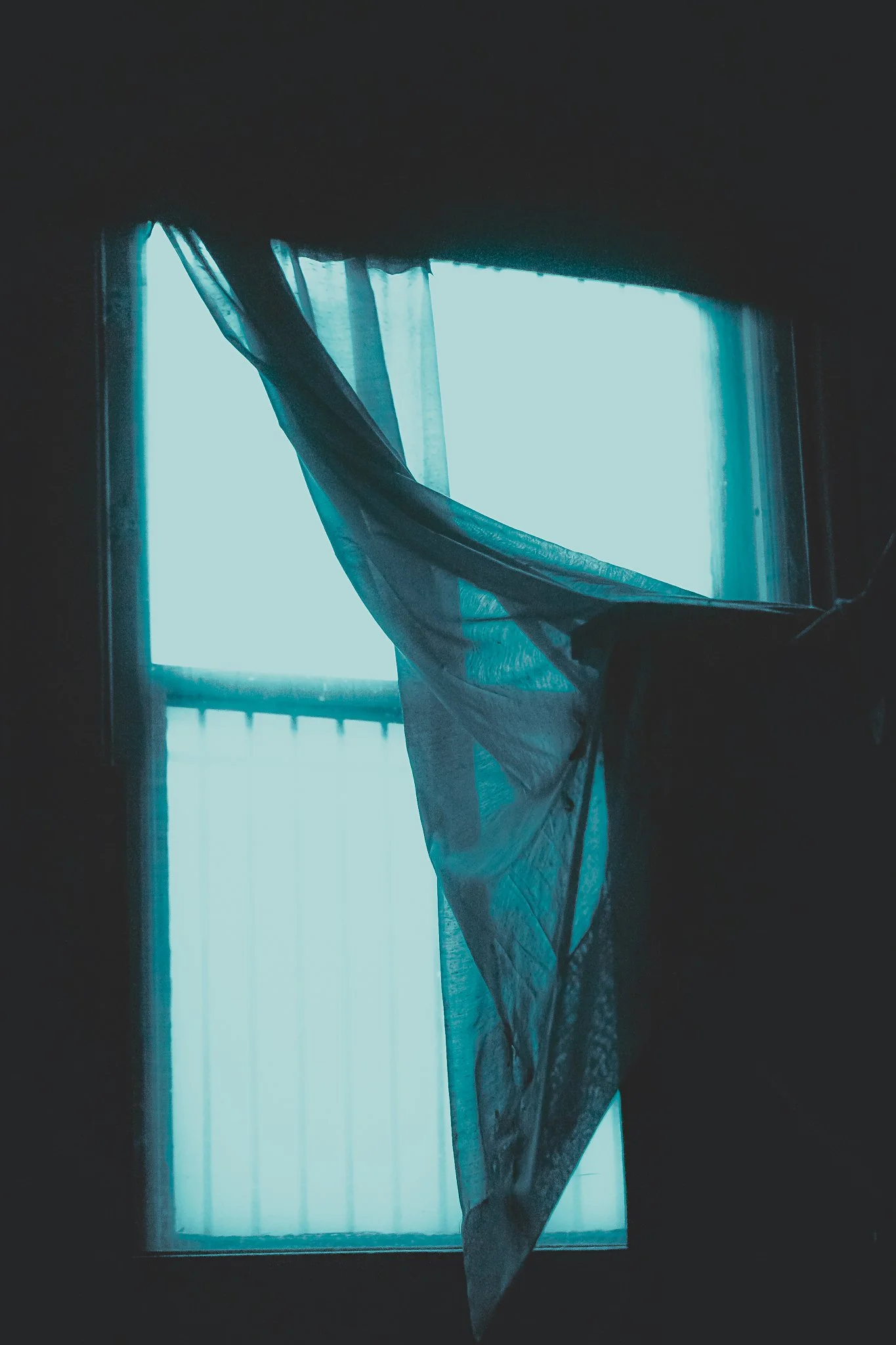 DSC00922.jpg