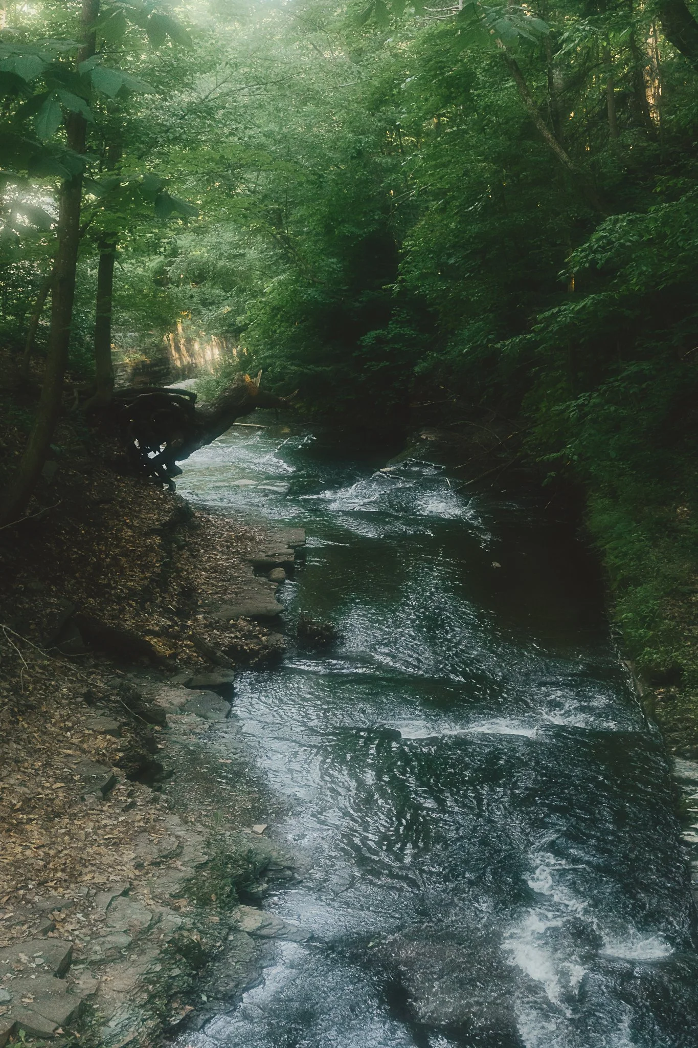 grimes glen 2021-2.jpg