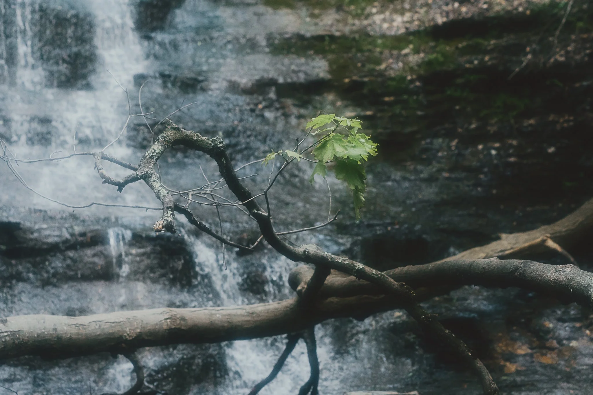 grimes glen 2021-25.jpg