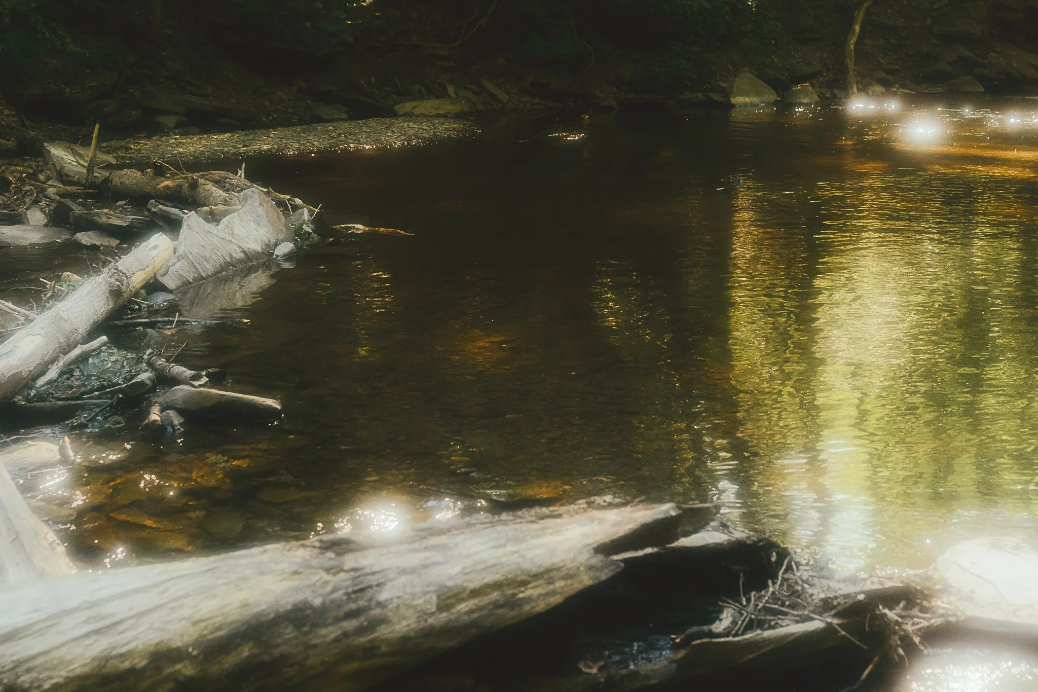 grimes glen 2021-7.jpg