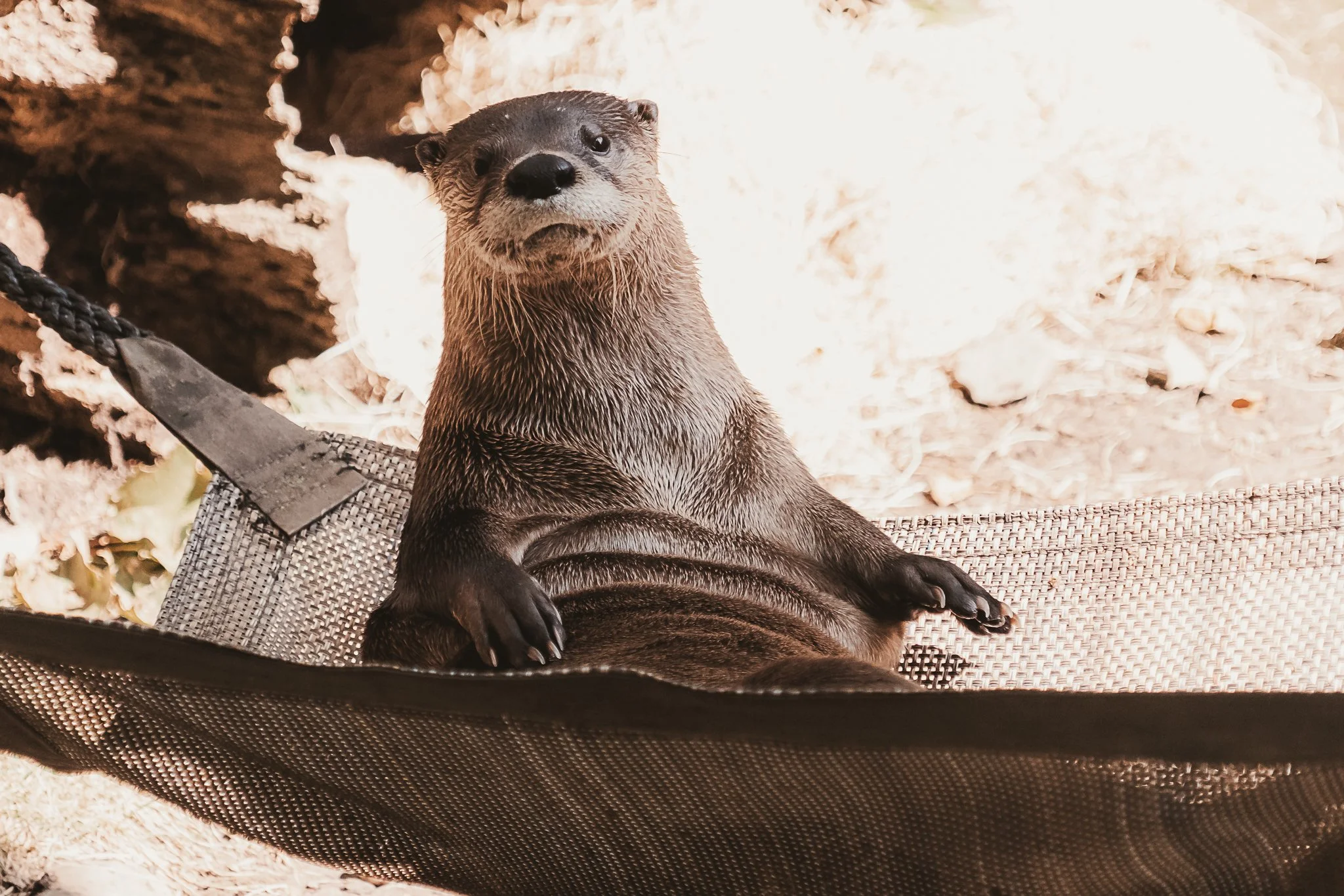 seneca park zoo 2024-14.jpg