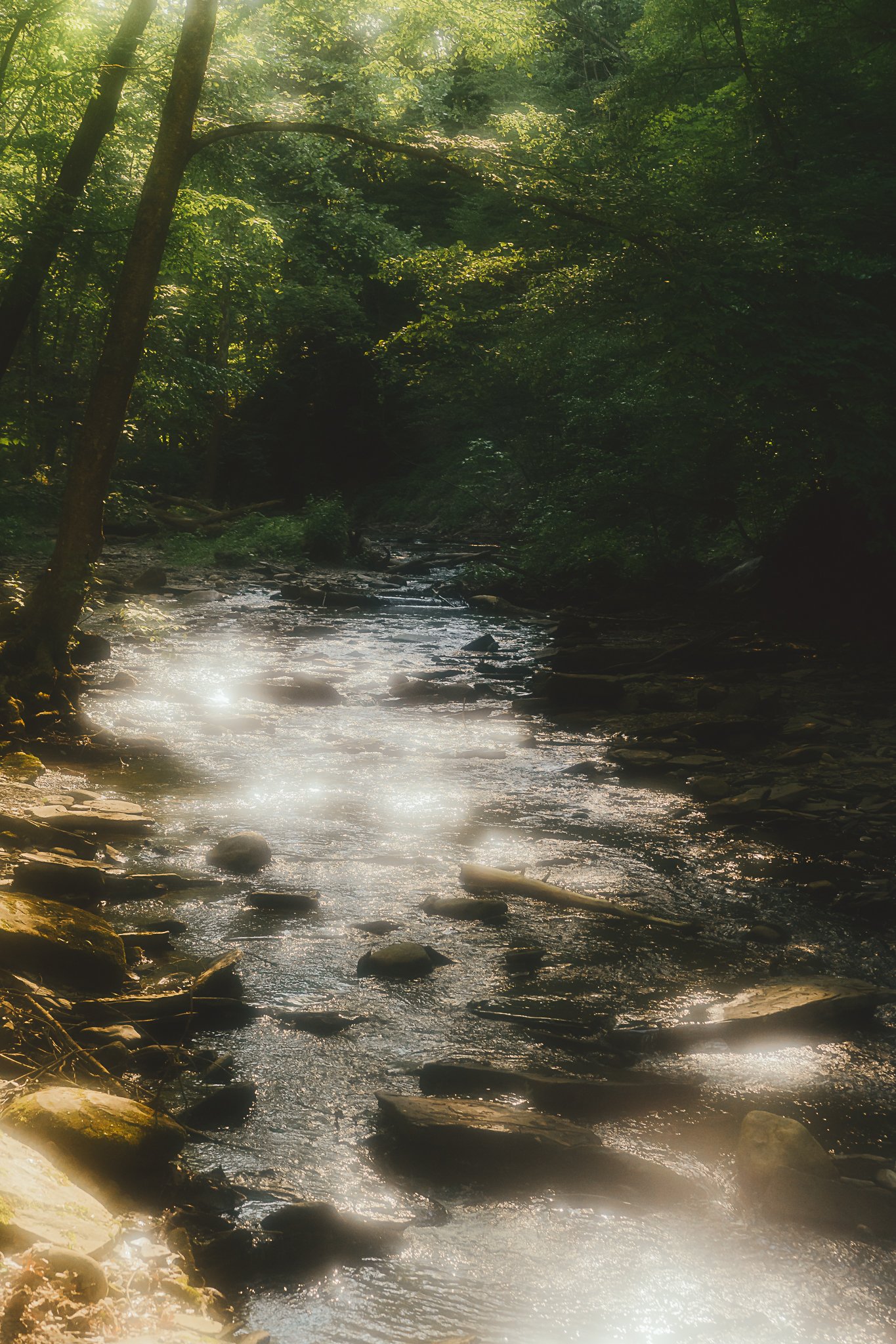 grimes glen 2021-8.jpg