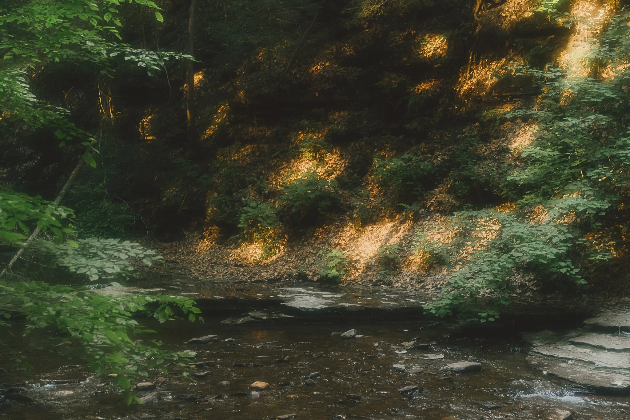 grimes glen 2021-27.jpg