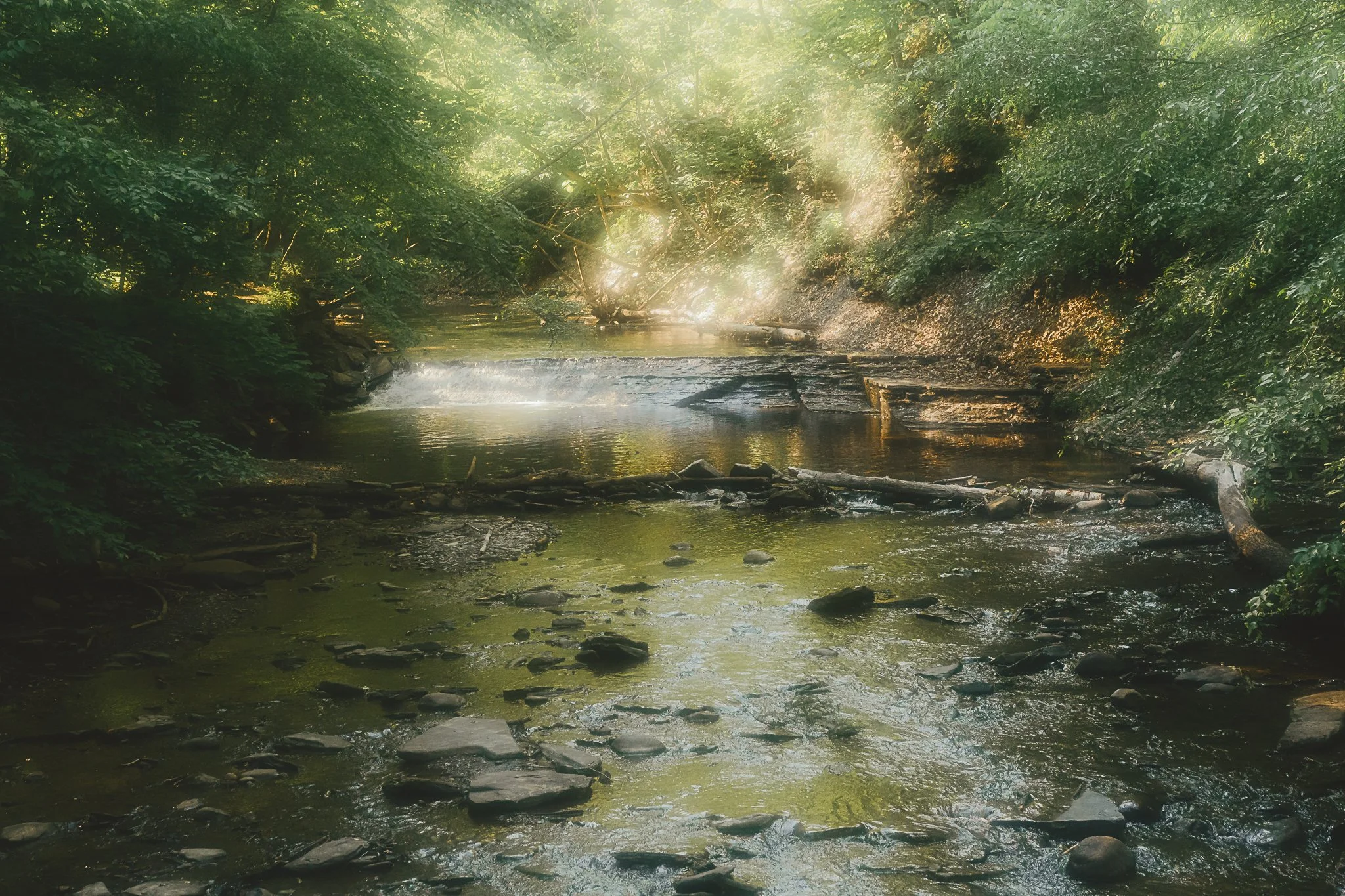 grimes glen 2021-3.jpg