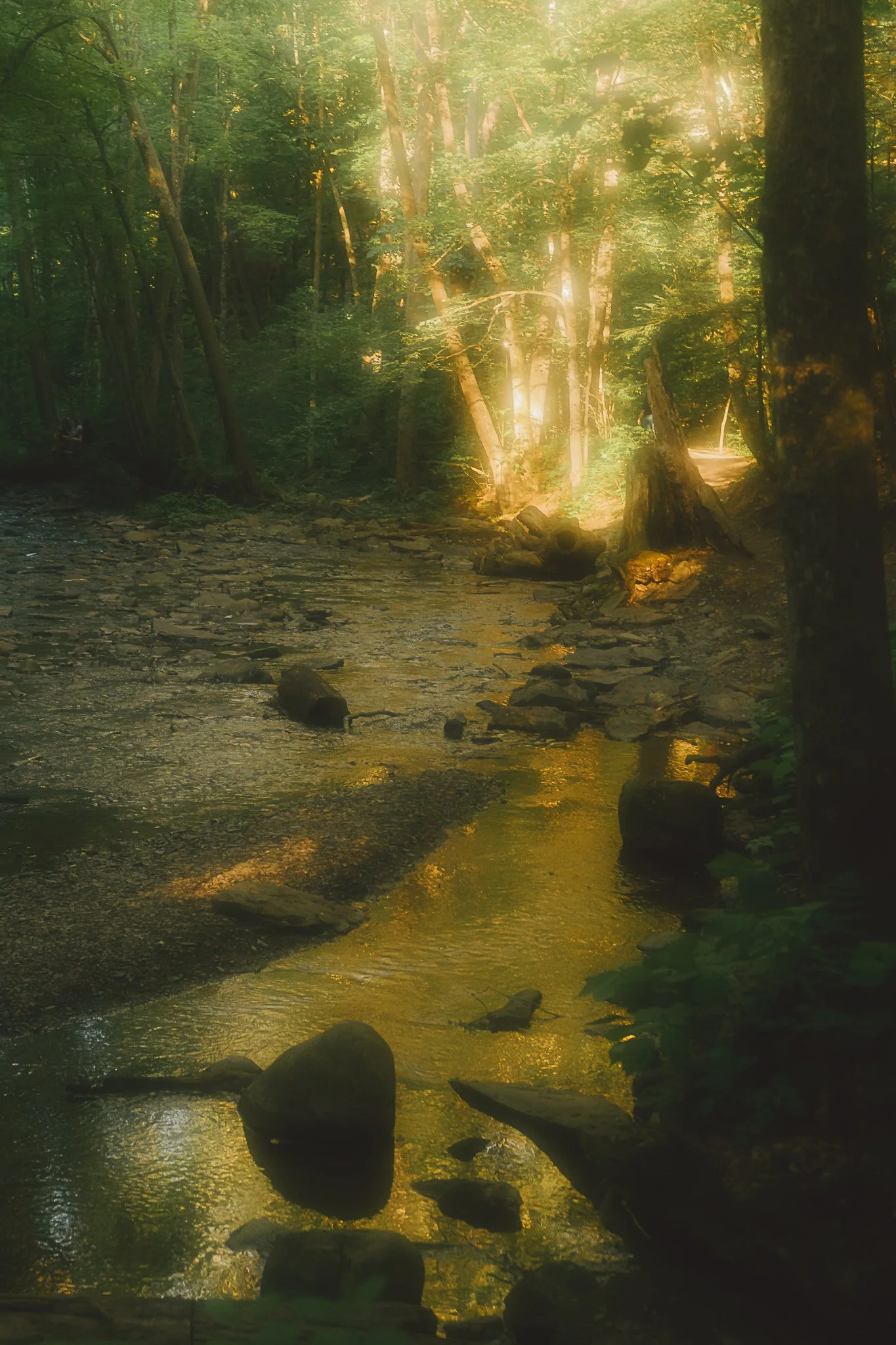 grimes glen 2021-56.jpg