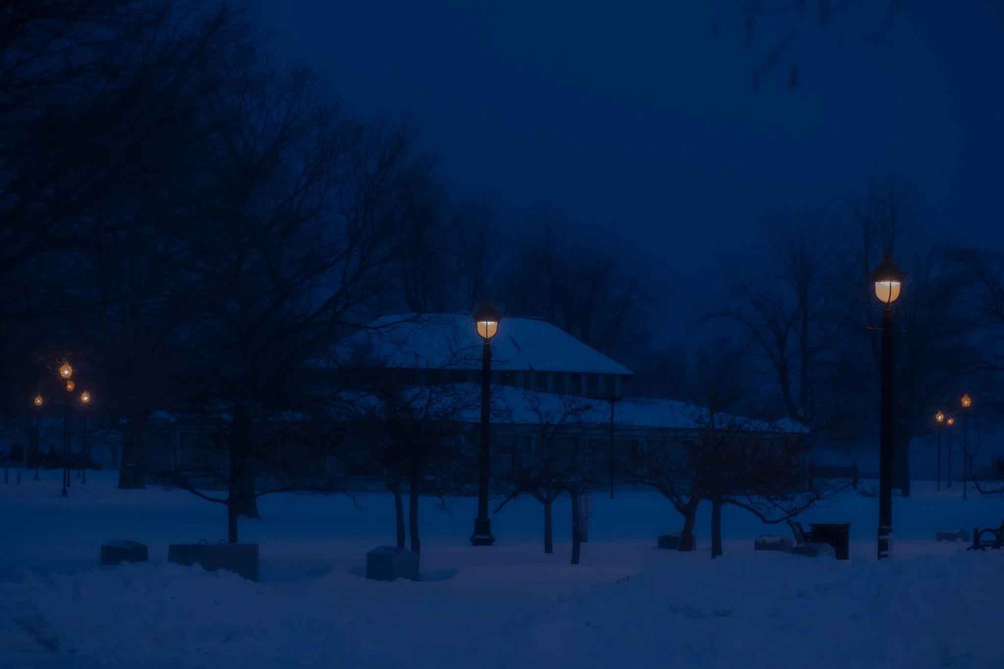 DSC06044.jpg