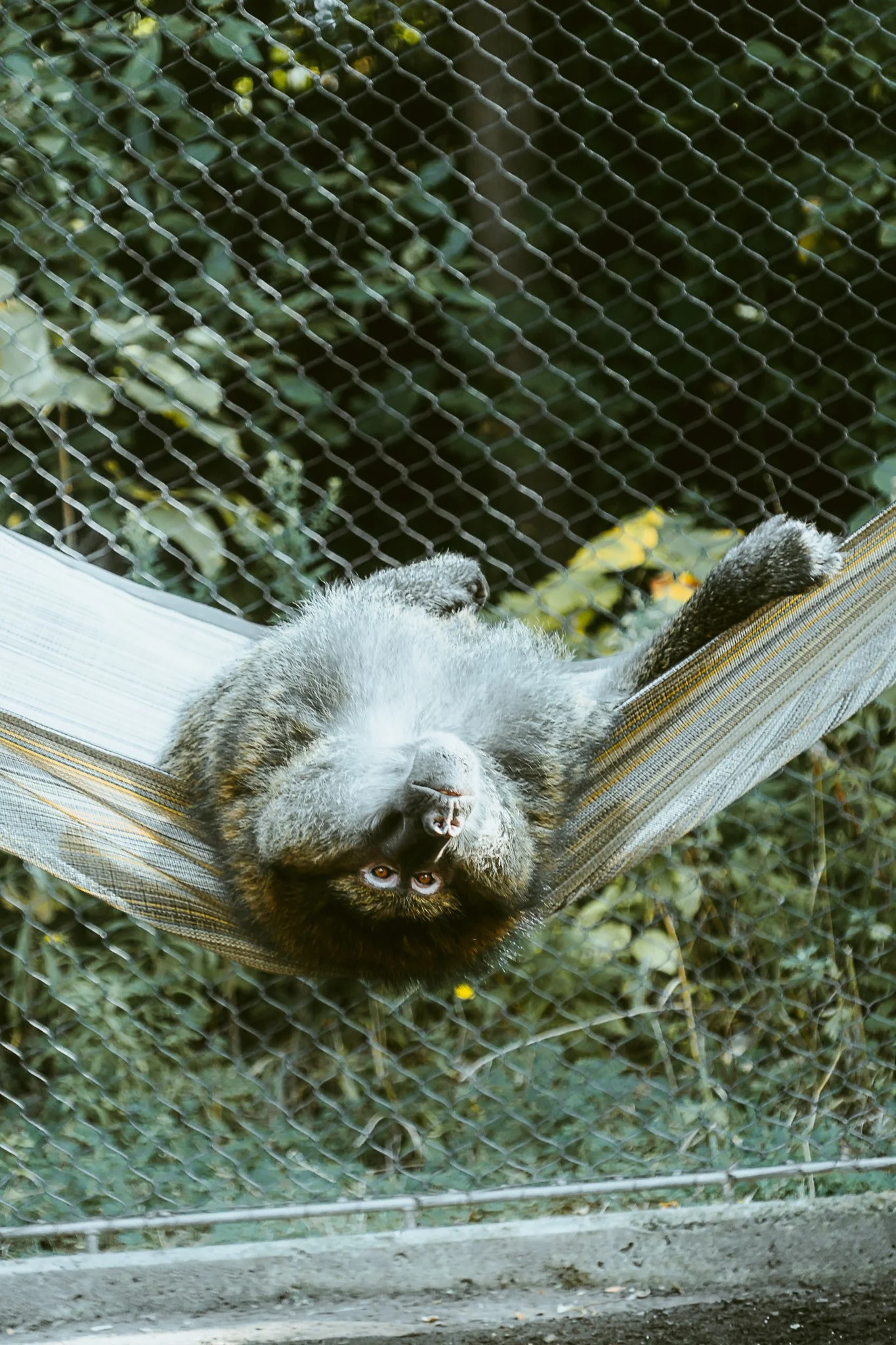 seneca park zoo 2024-71.jpg