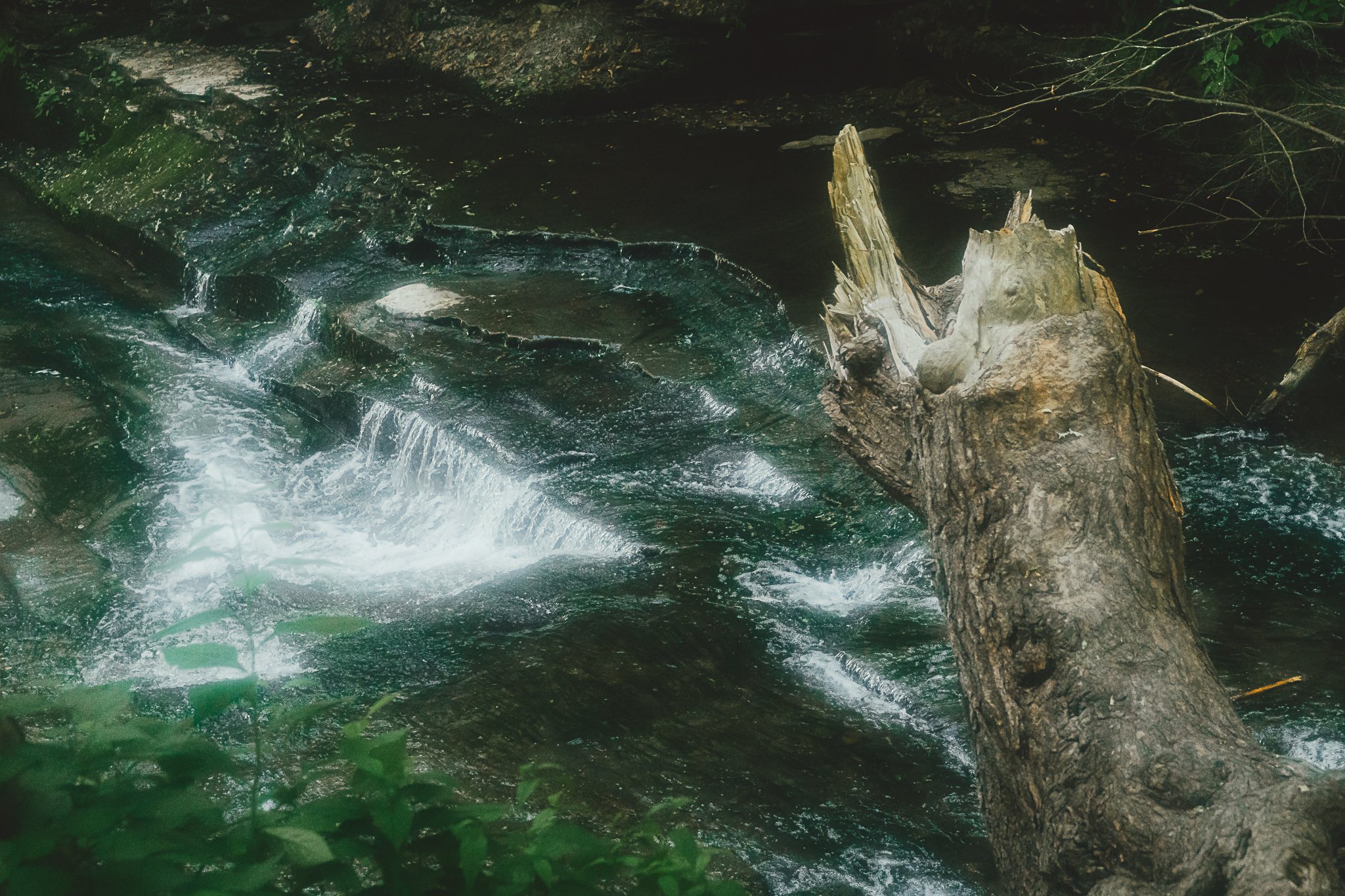 grimes glen 2021-1.jpg