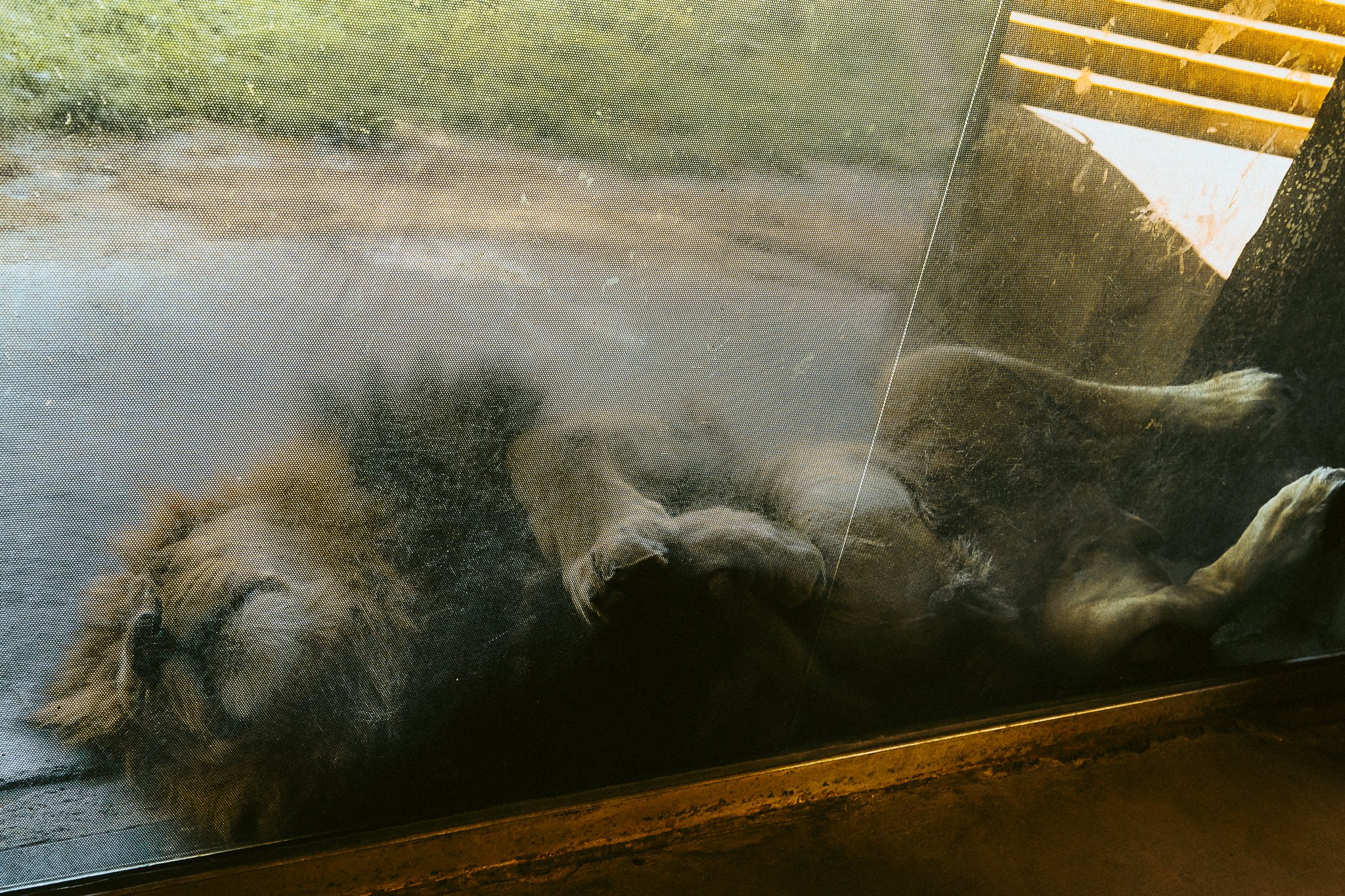 seneca park zoo 2024-49.jpg