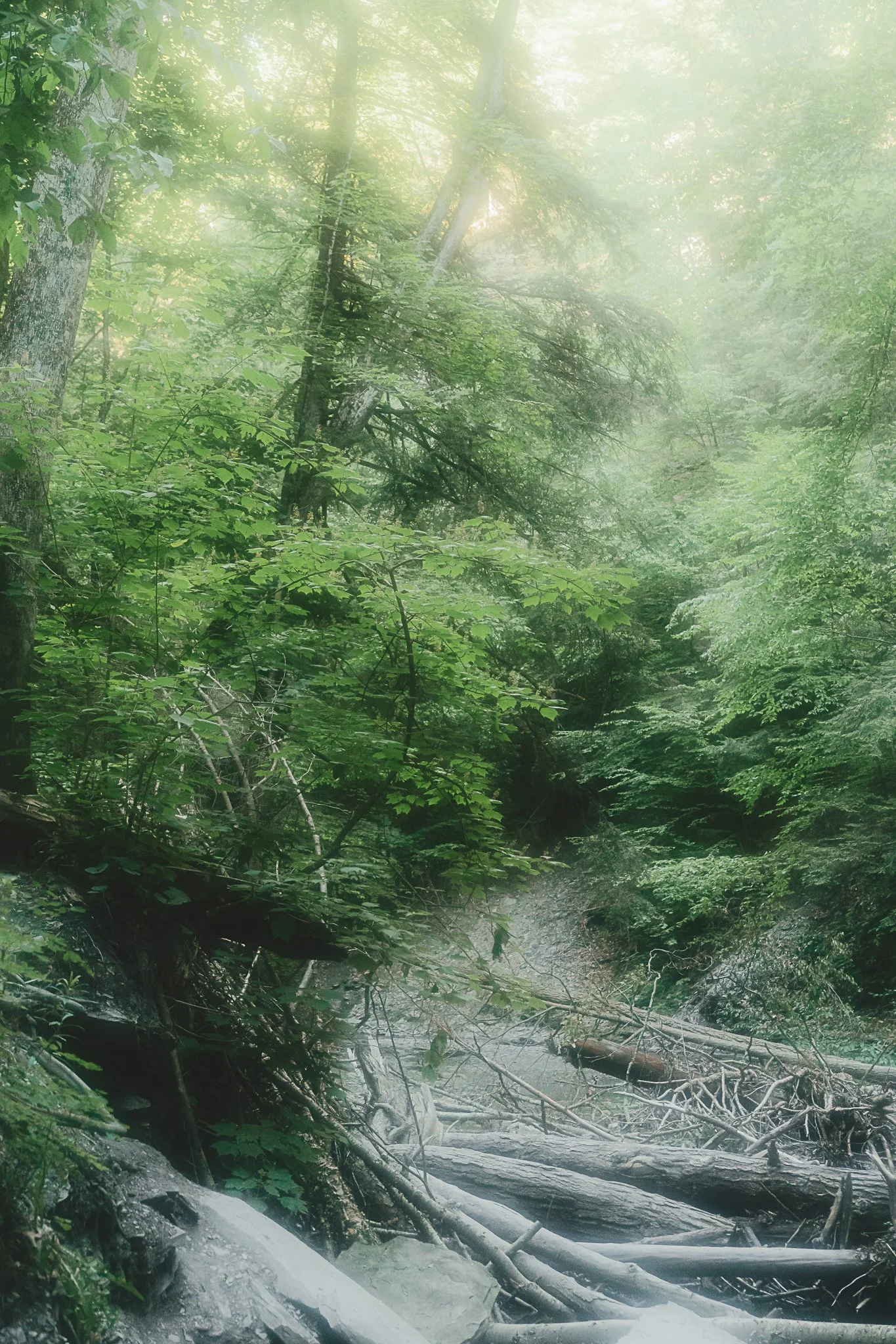 grimes glen 2021-36.jpg