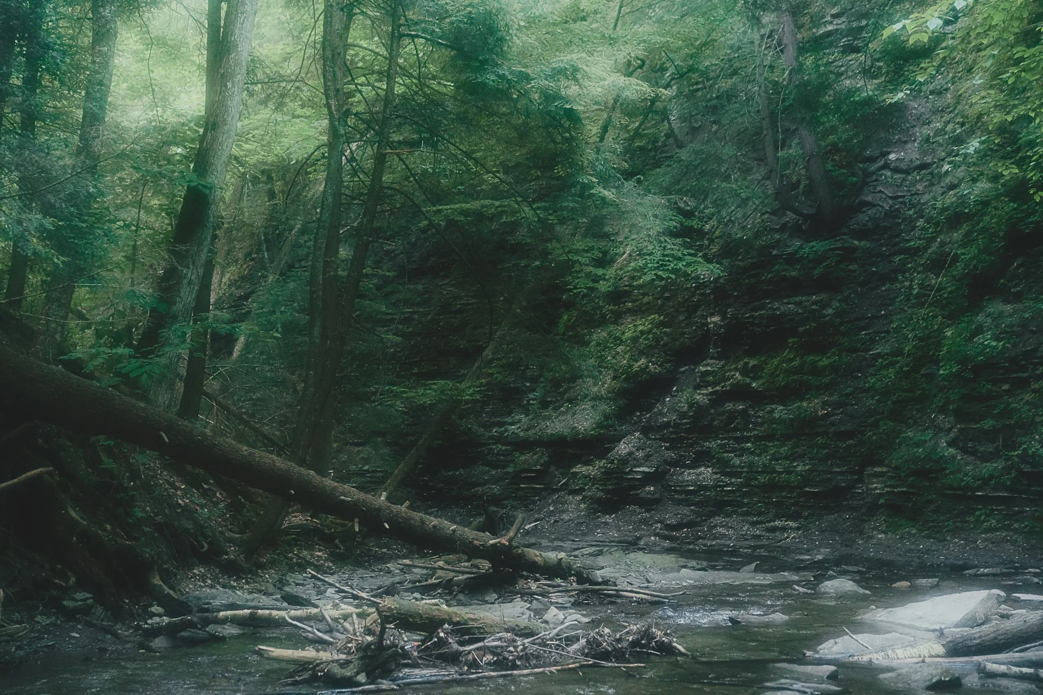 grimes glen 2021-33.jpg
