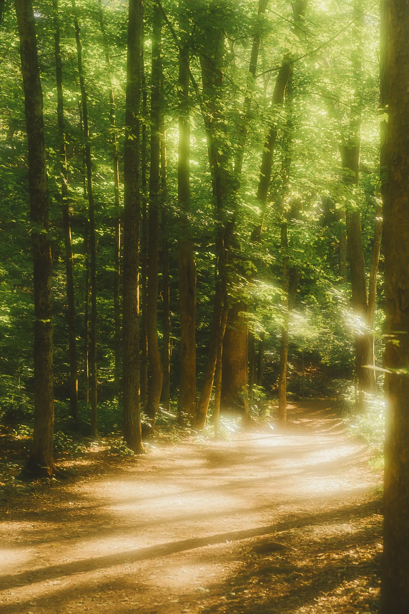 grimes glen 2021-11.jpg