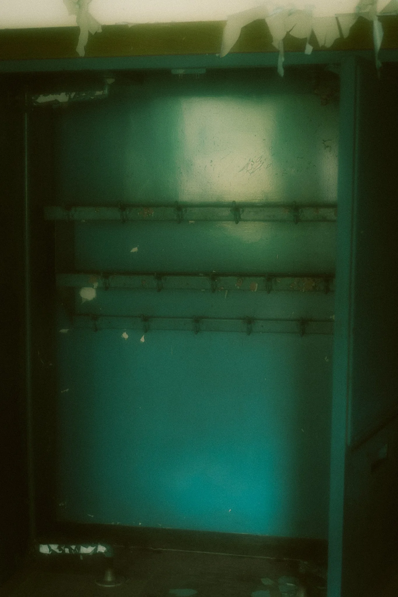 DSC00682.jpg