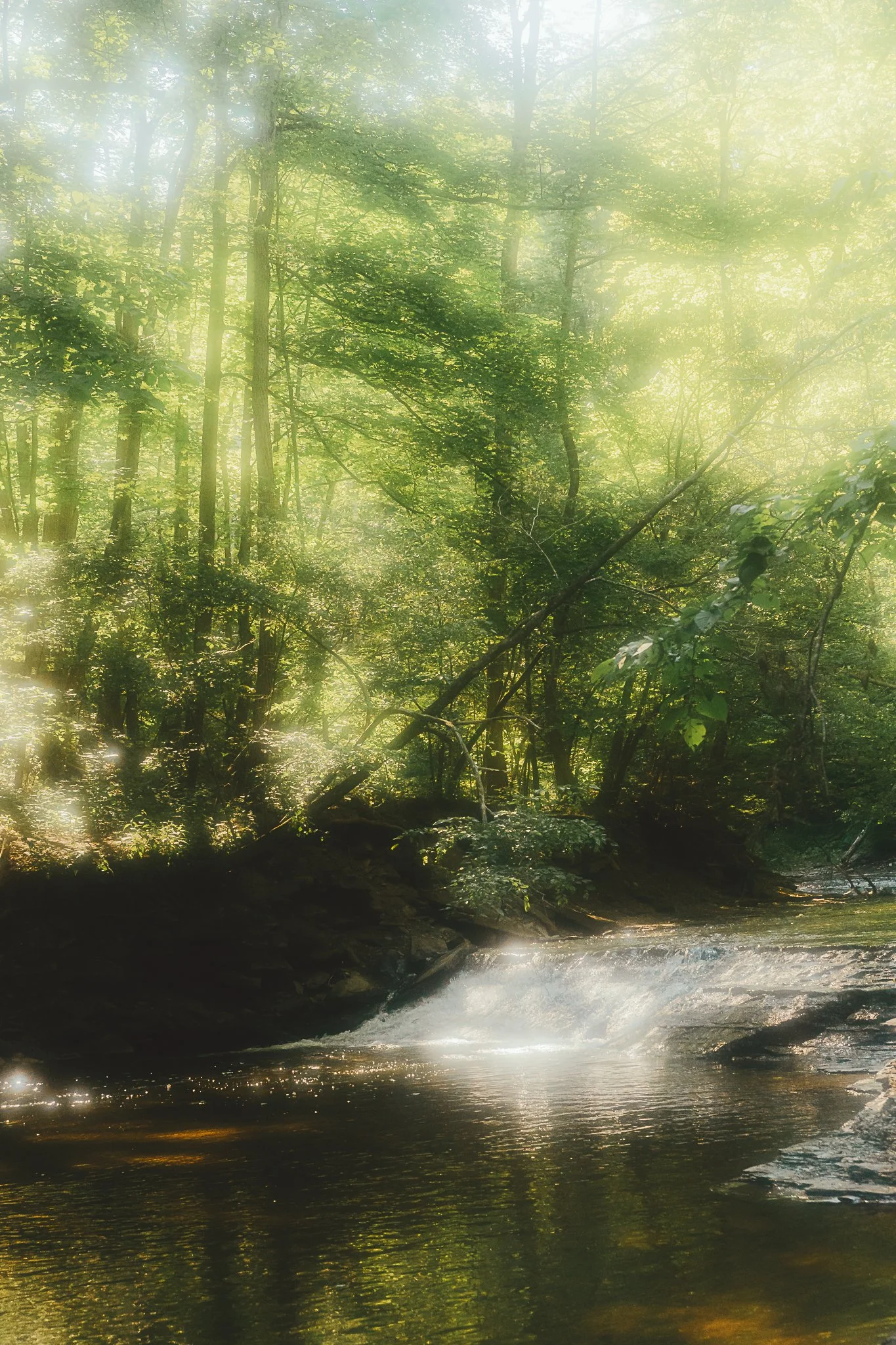 grimes glen 2021-4.jpg