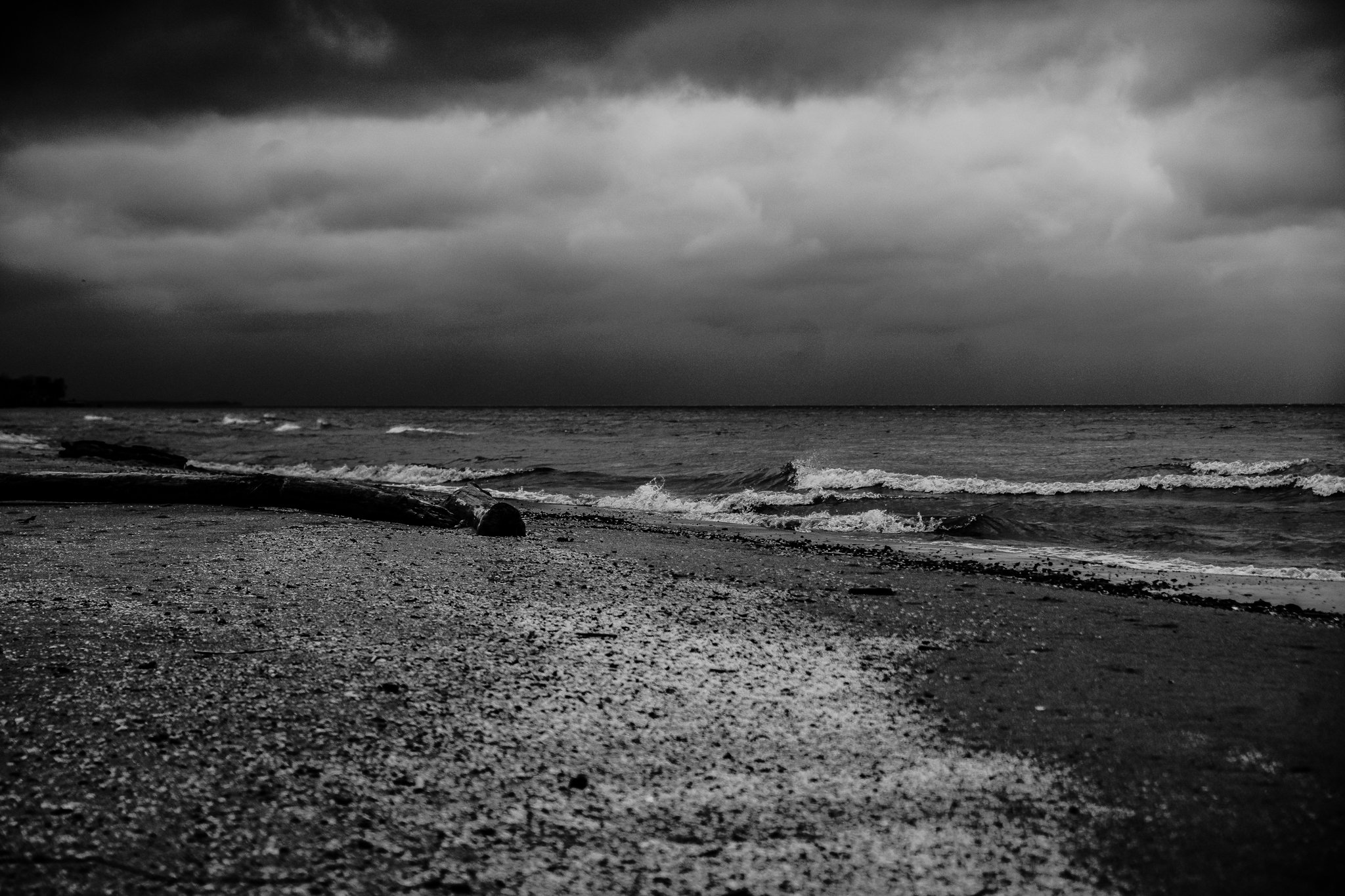 DSC00871-2.jpg