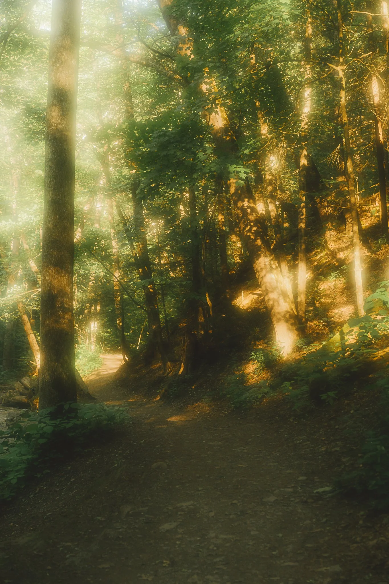 grimes glen 2021-58.jpg